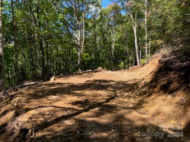 Lot G-43 Odalu Trail G43 Property Photo 1