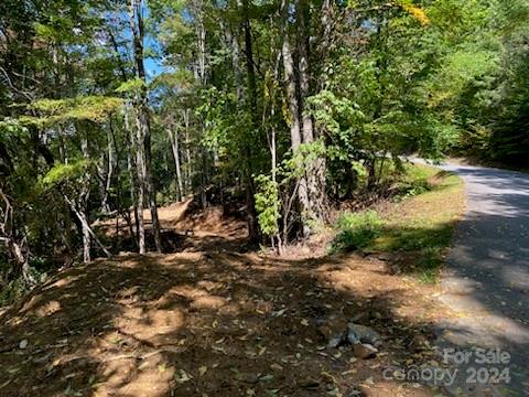 Lot G-43 Odalu Trail G43 Property Photo 2