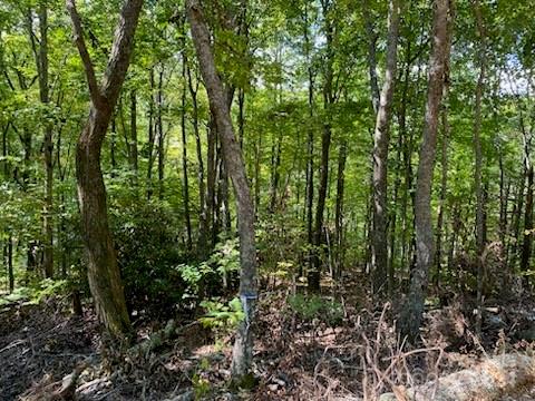 Lot G-43 Odalu Trail G43 Property Photo 4
