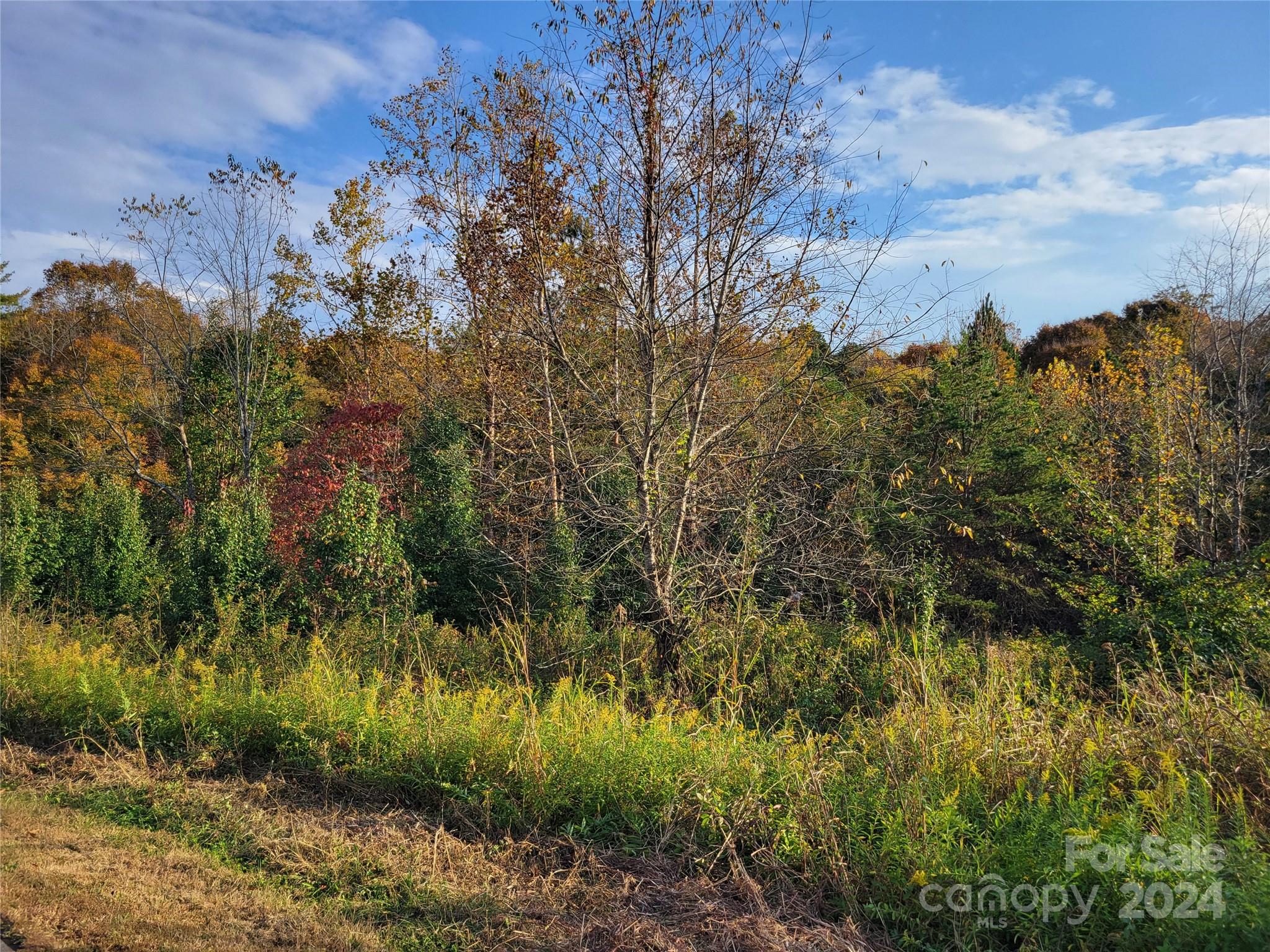 235 Taylor Circle Property Photo 5