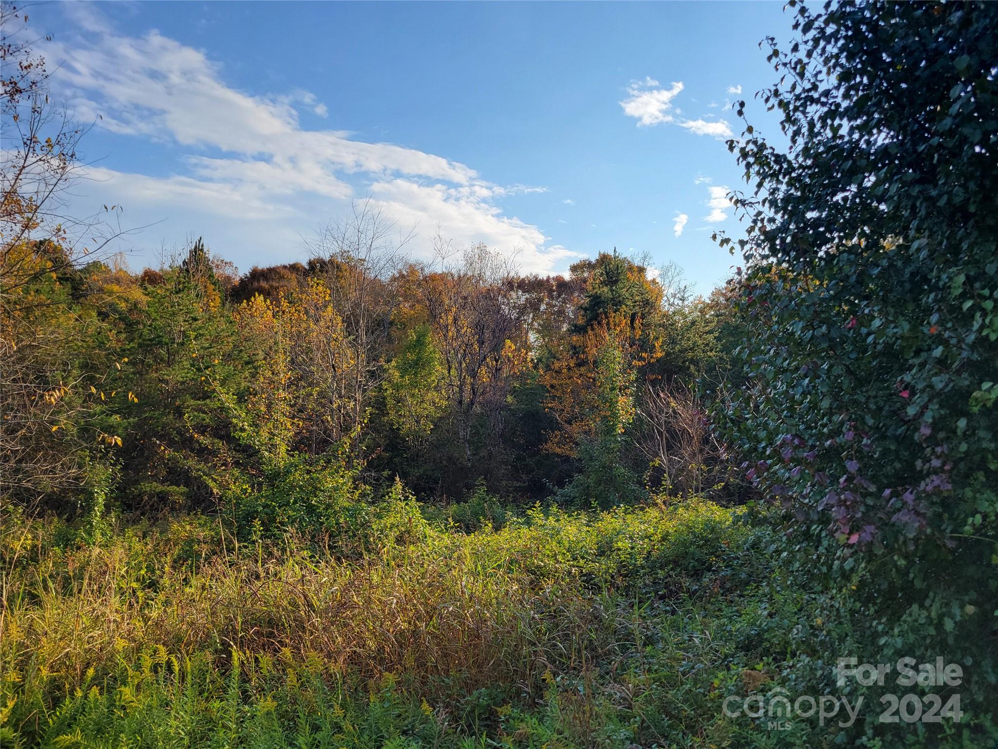 235 Taylor Circle Property Photo 6
