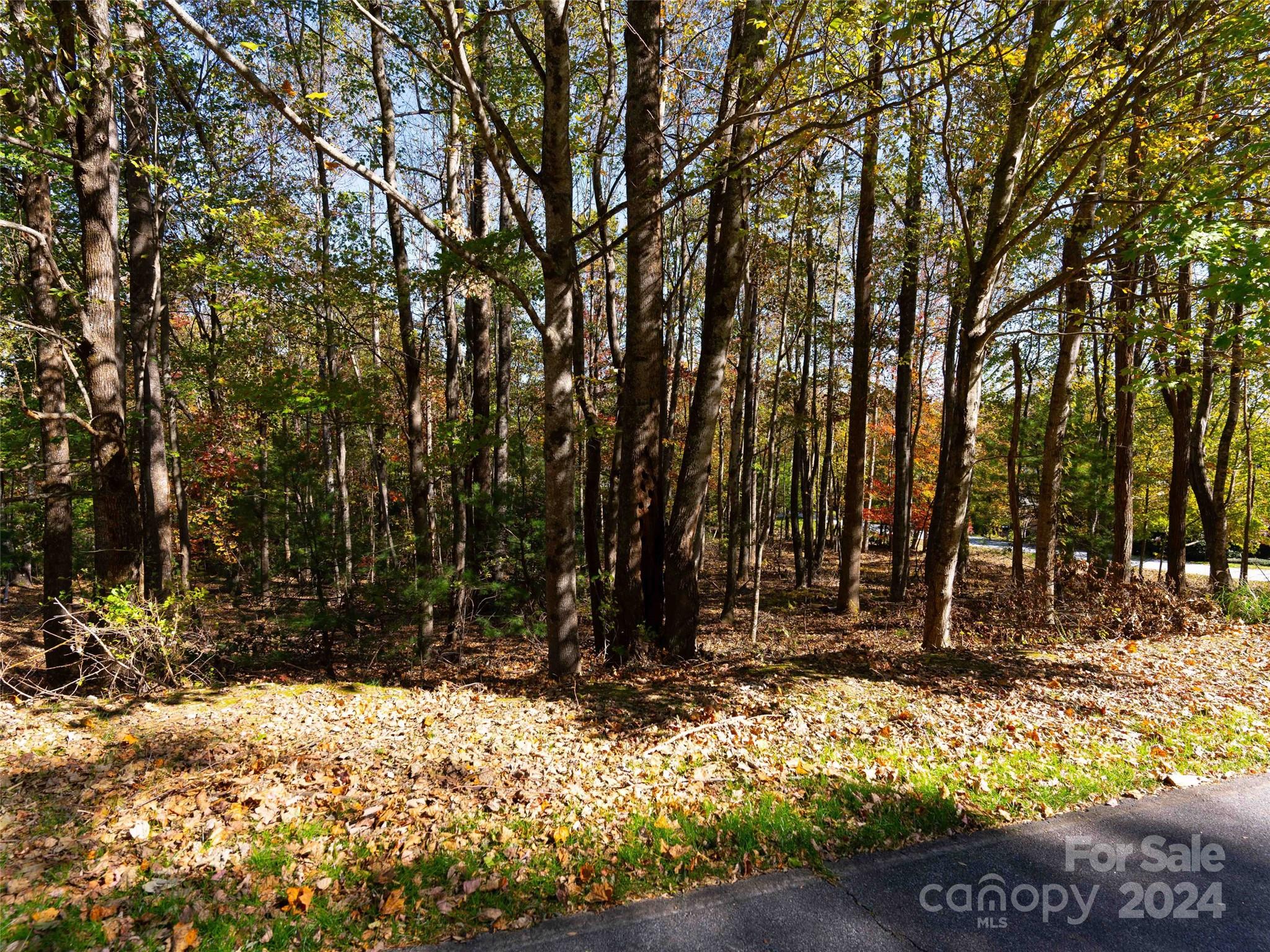 308 Piney Knoll Lane 189 Property Photo