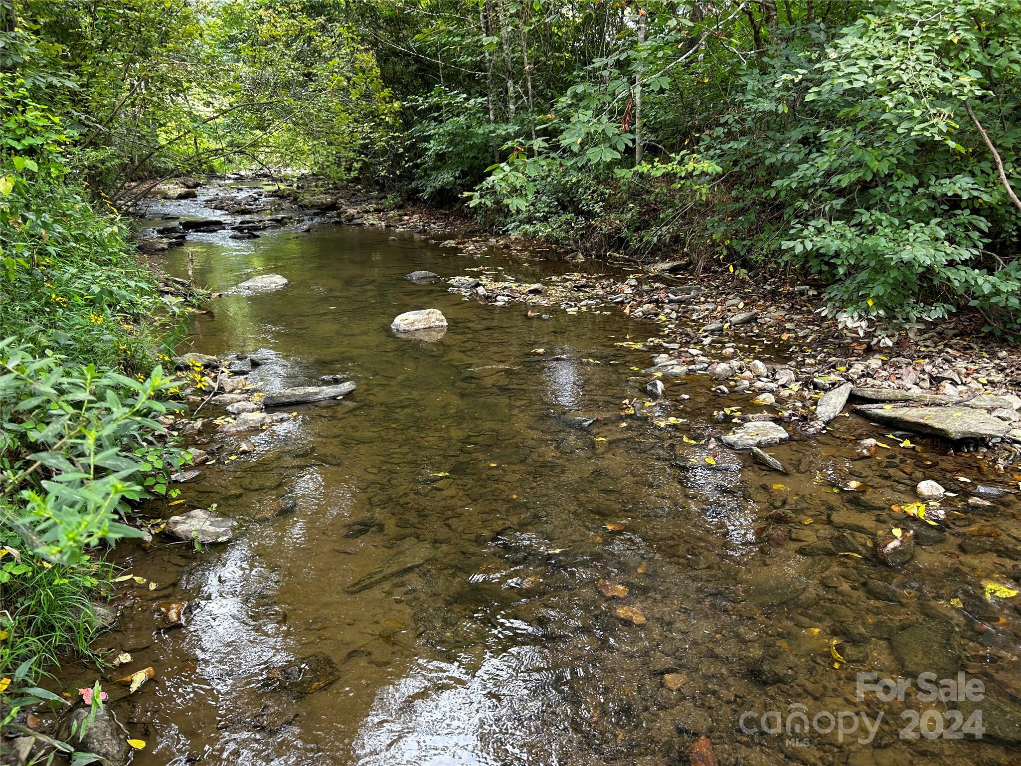 1316 & 1348 Paint Fork Road Property Photo 4