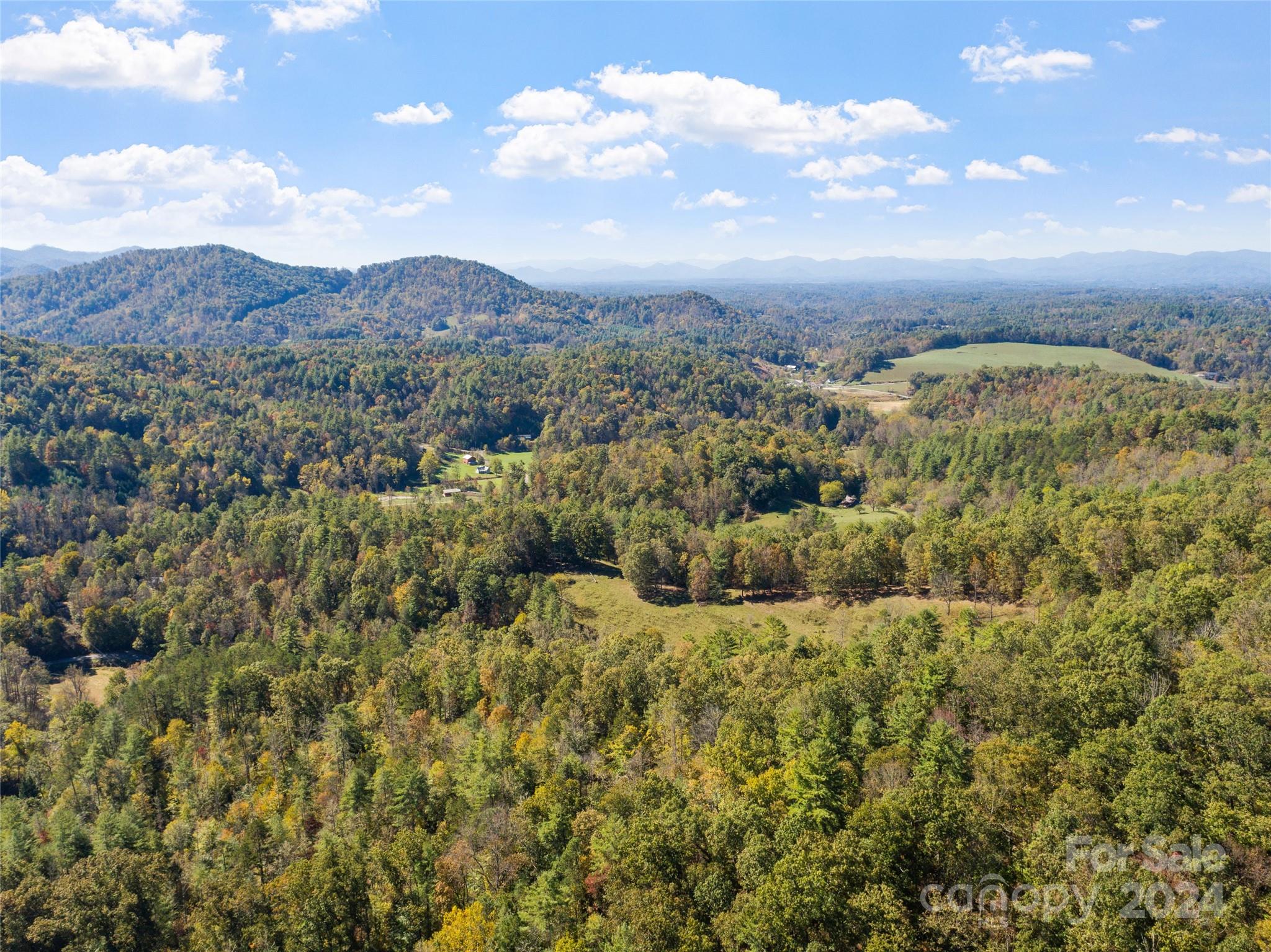 1316 & 1348 Paint Fork Road Property Photo 11
