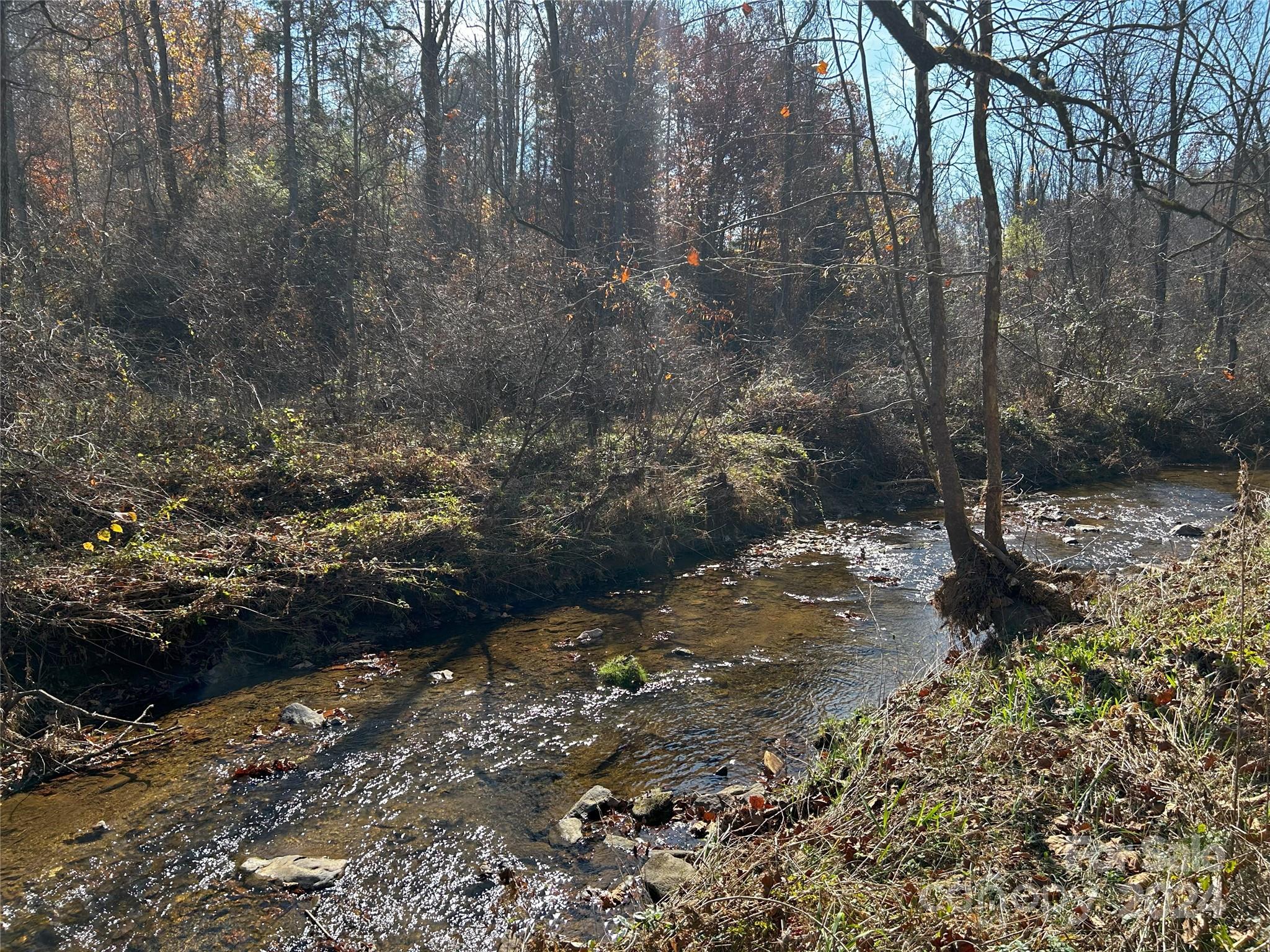 1316 & 1348 Paint Fork Road Property Photo 13