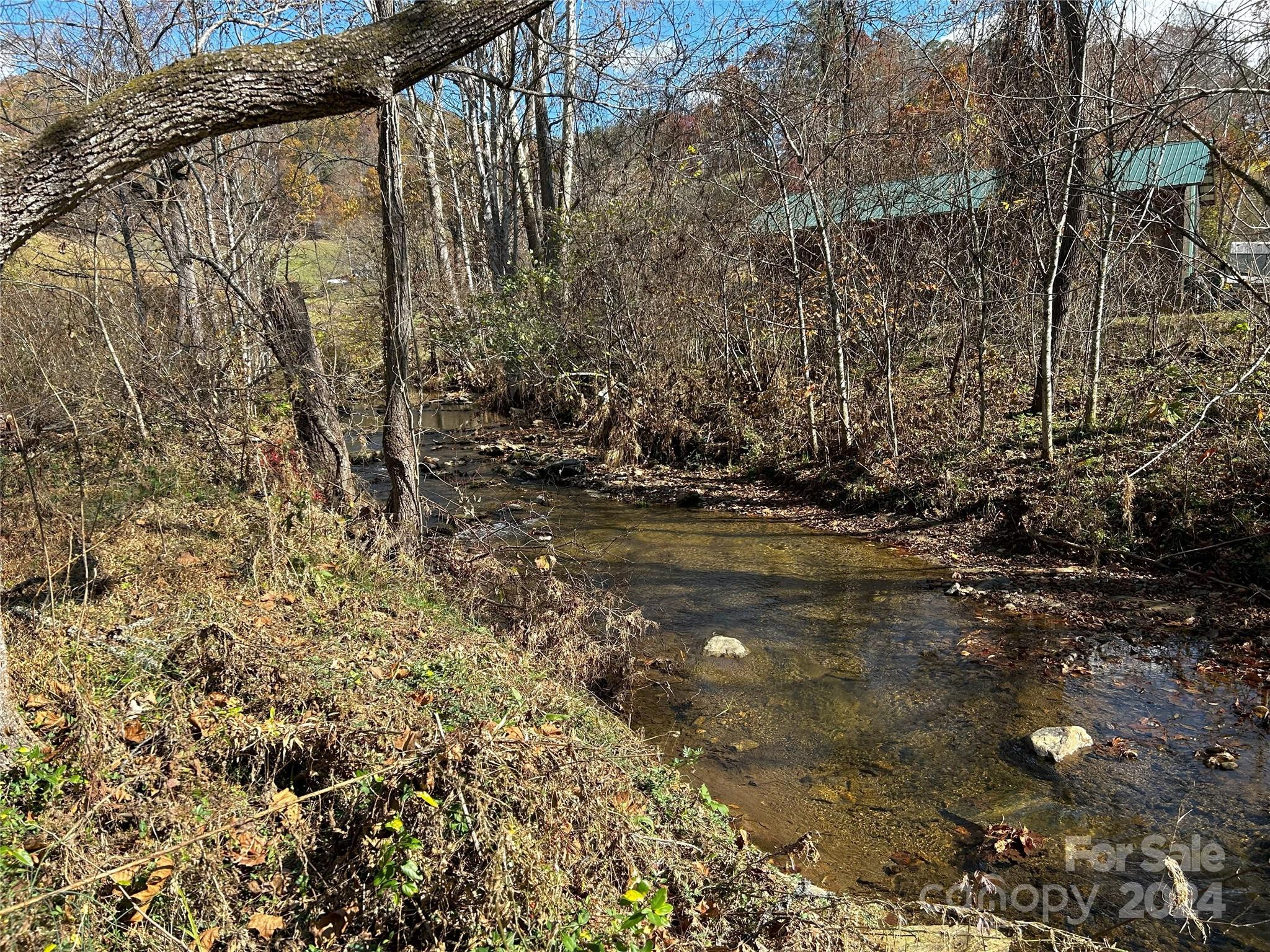 1316 & 1348 Paint Fork Road Property Photo 14