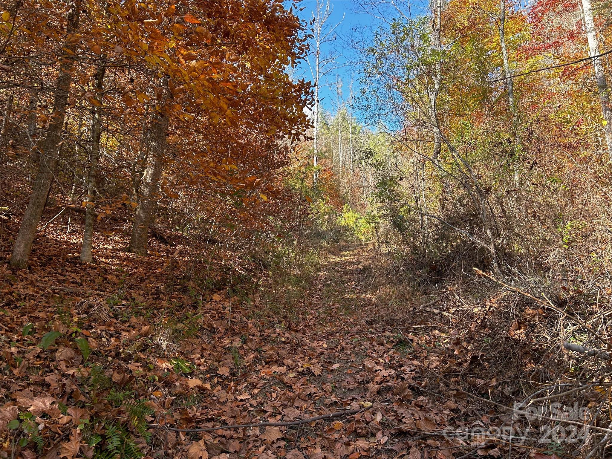 1316 & 1348 Paint Fork Road Property Photo 19