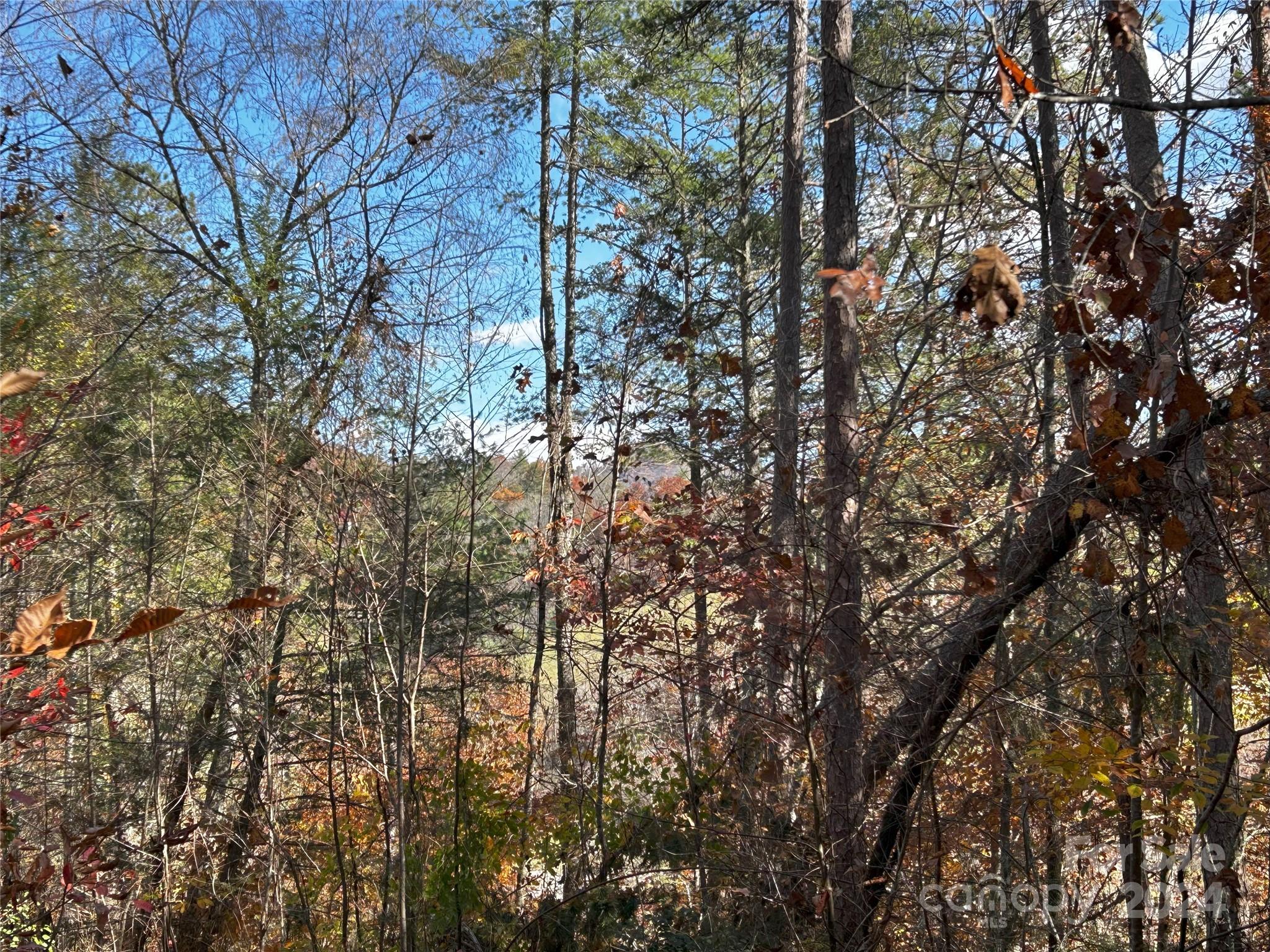 1316 & 1348 Paint Fork Road Property Photo 23