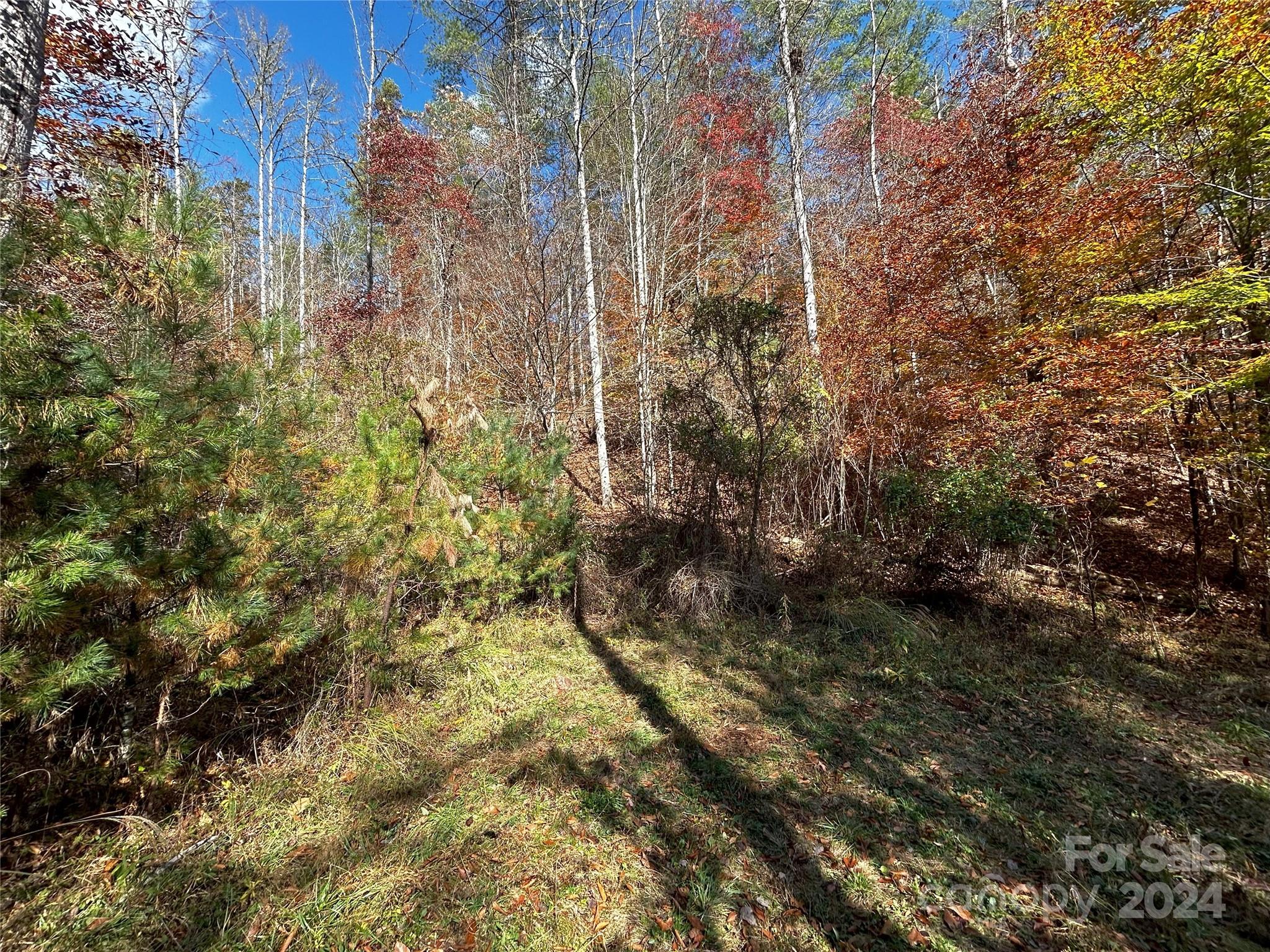 1316 & 1348 Paint Fork Road Property Photo 24