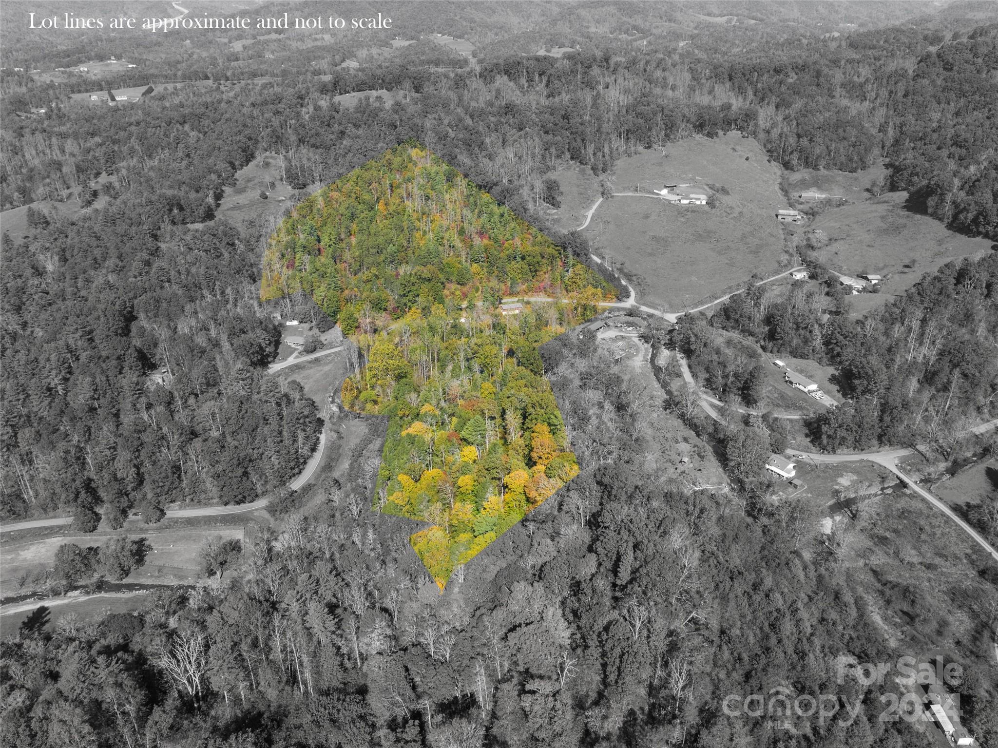 1316 & 1348 Paint Fork Road Property Photo 26