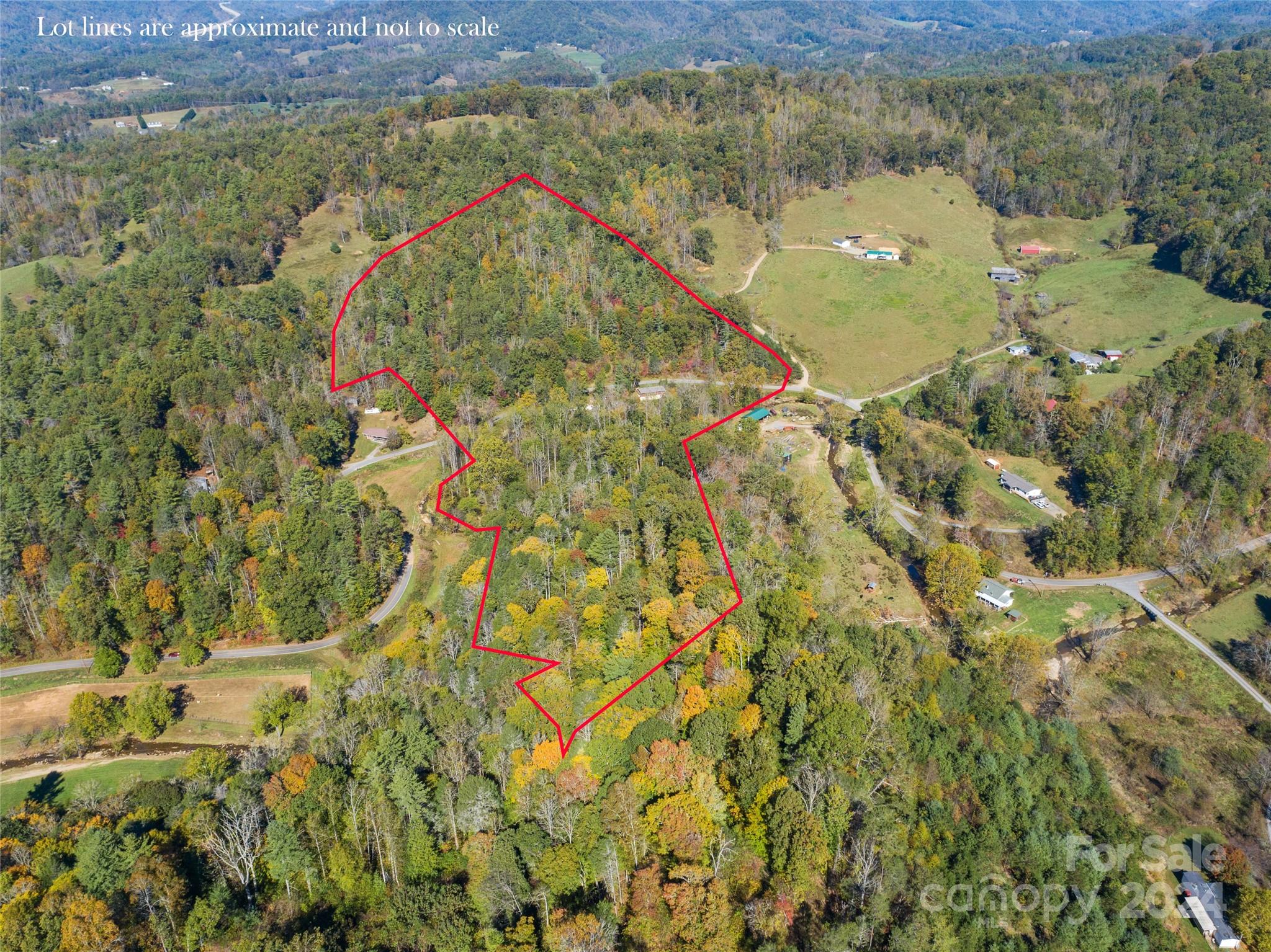 1316 & 1348 Paint Fork Road Property Photo 27