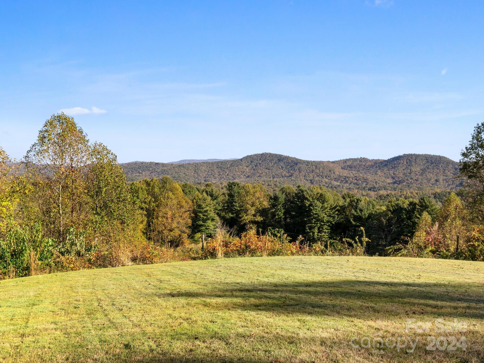 5481 Greenville Highway Property Photo 12