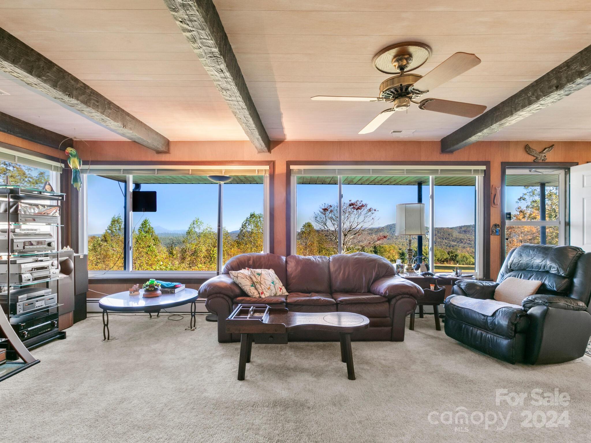 5481 Greenville Highway Property Photo 14