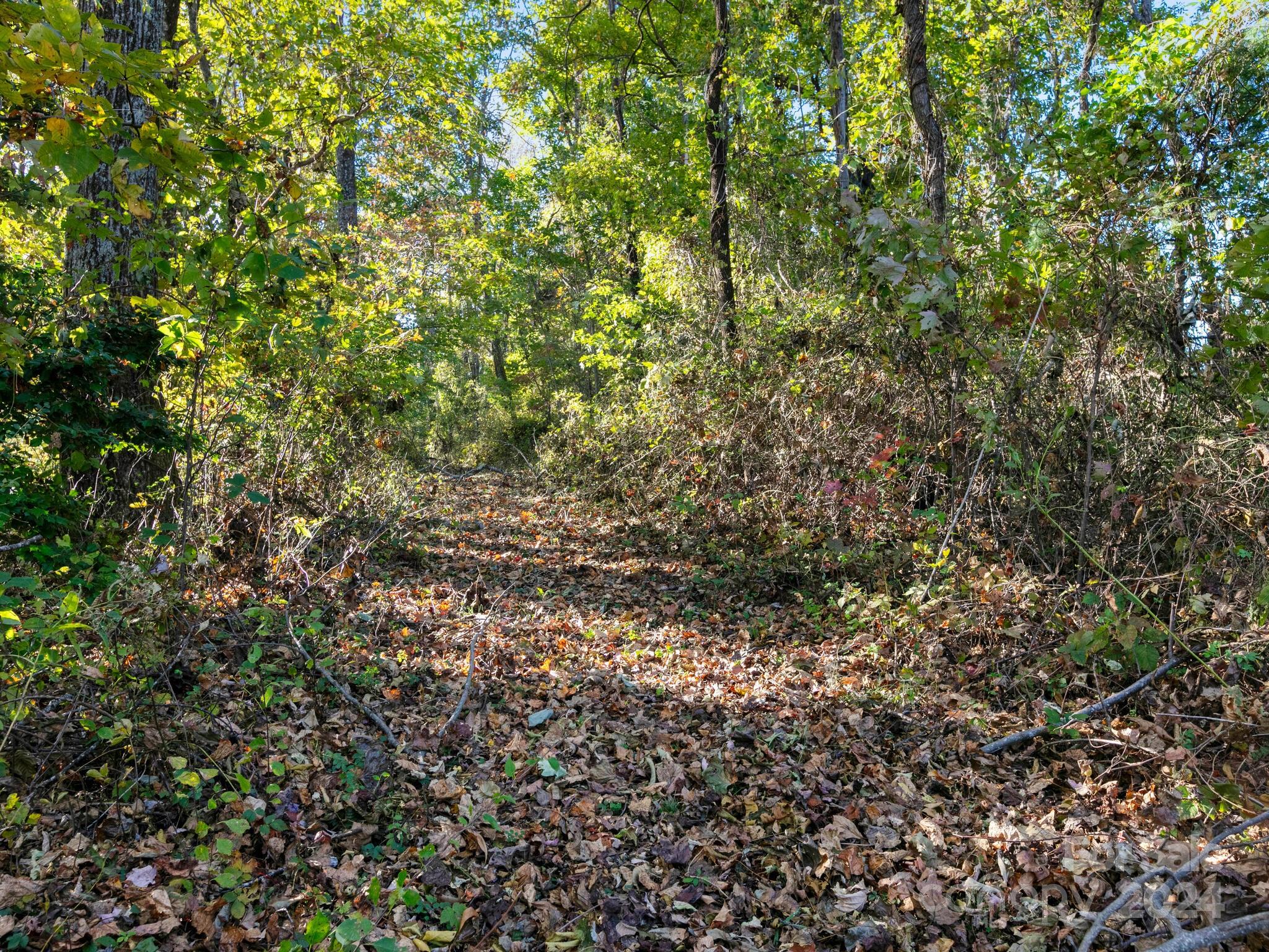 5481 Greenville Highway Property Photo 39