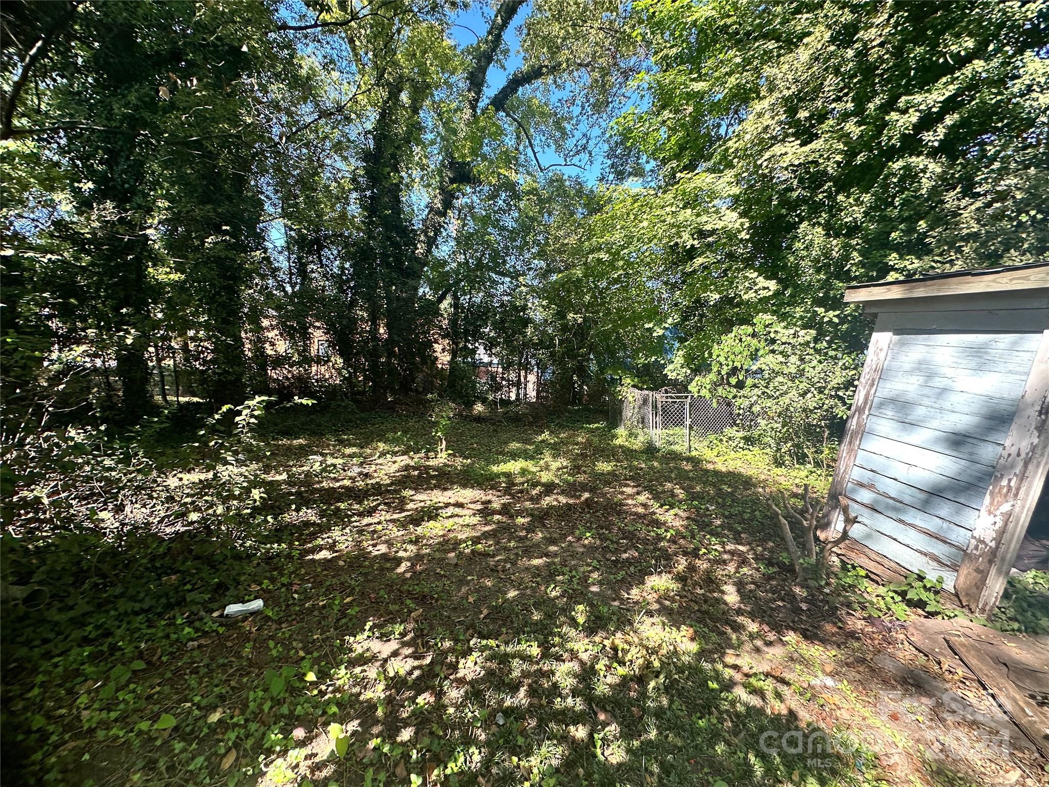 1115 Harrill Street Property Photo 5