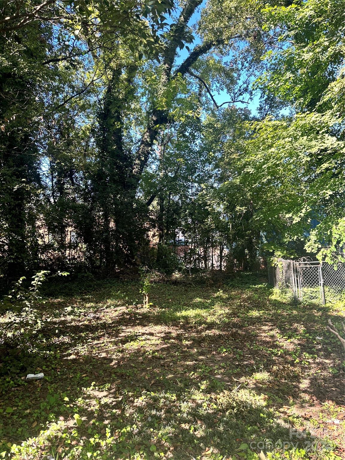 1115 Harrill Street Property Photo 6