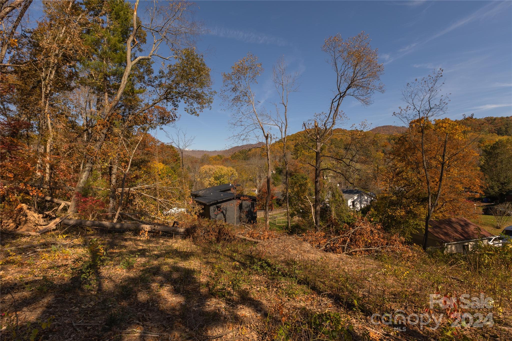 13 Bassett Road Property Photo 6