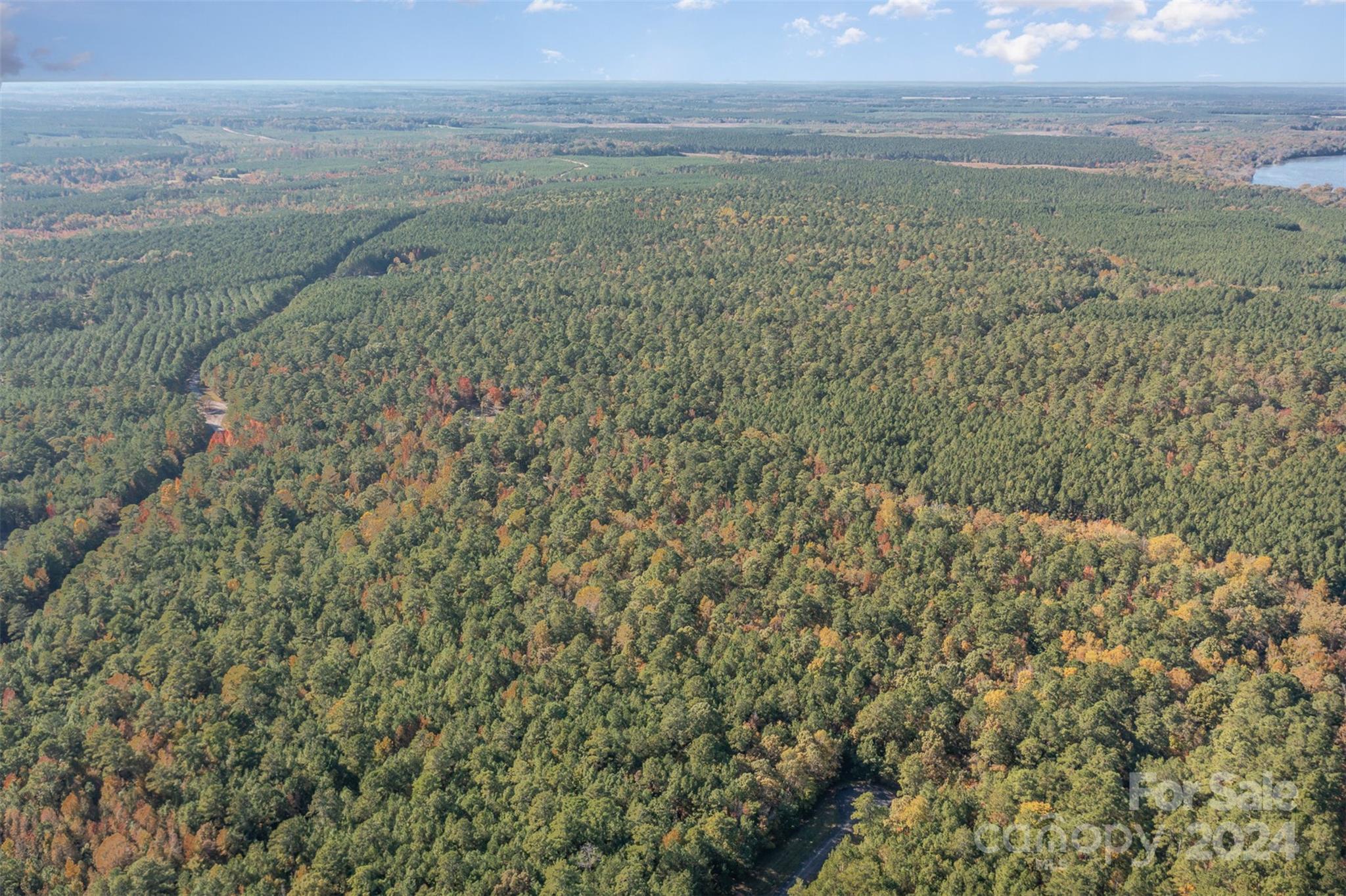 76 Lakeside Trail Property Photo 2