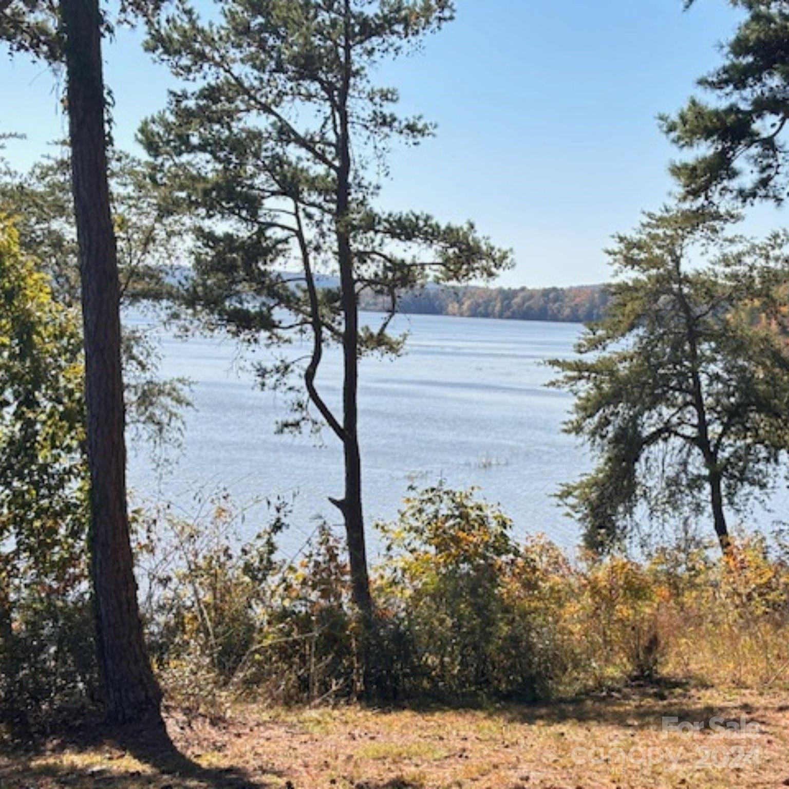 76 Lakeside Trail Property Photo 13