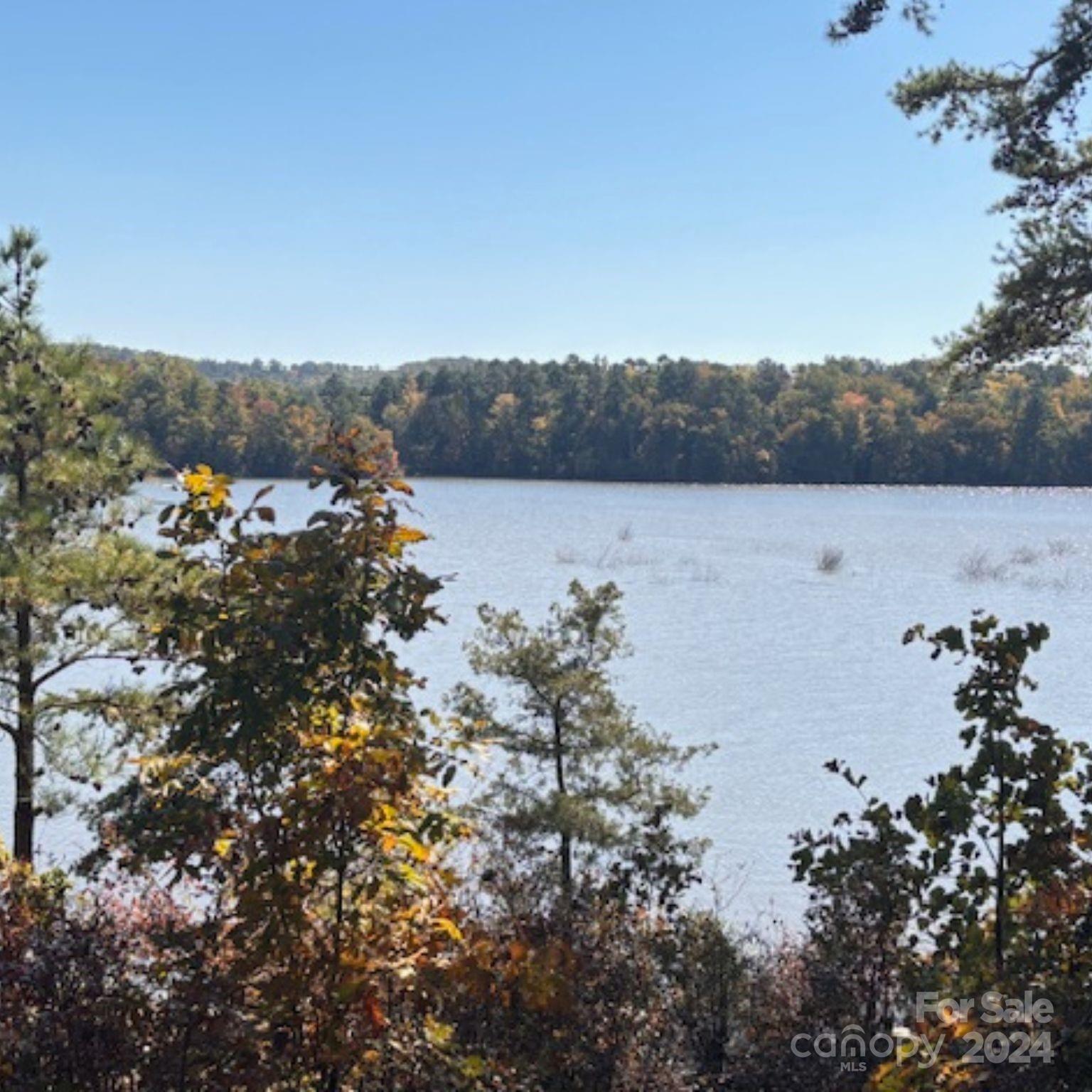 76 Lakeside Trail Property Photo 16