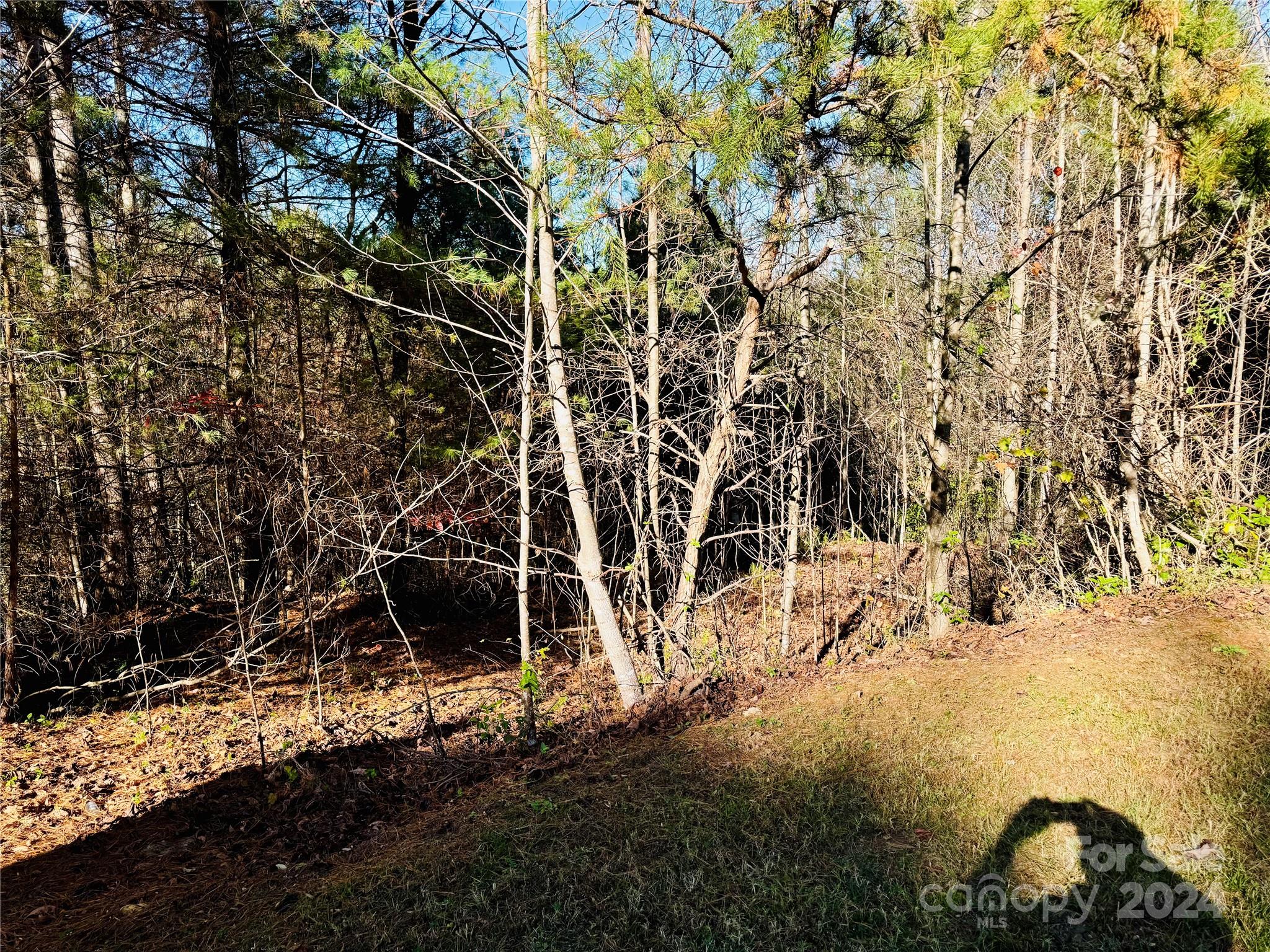 6.09 Acres Lot 136/137 Johns Ridge Parkway 136/137 Property Photo 3