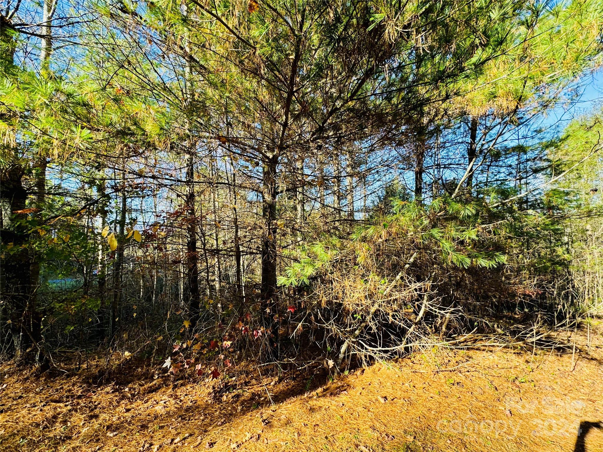 6.09 Acres Lot 136/137 Johns Ridge Parkway 136/137 Property Photo 5