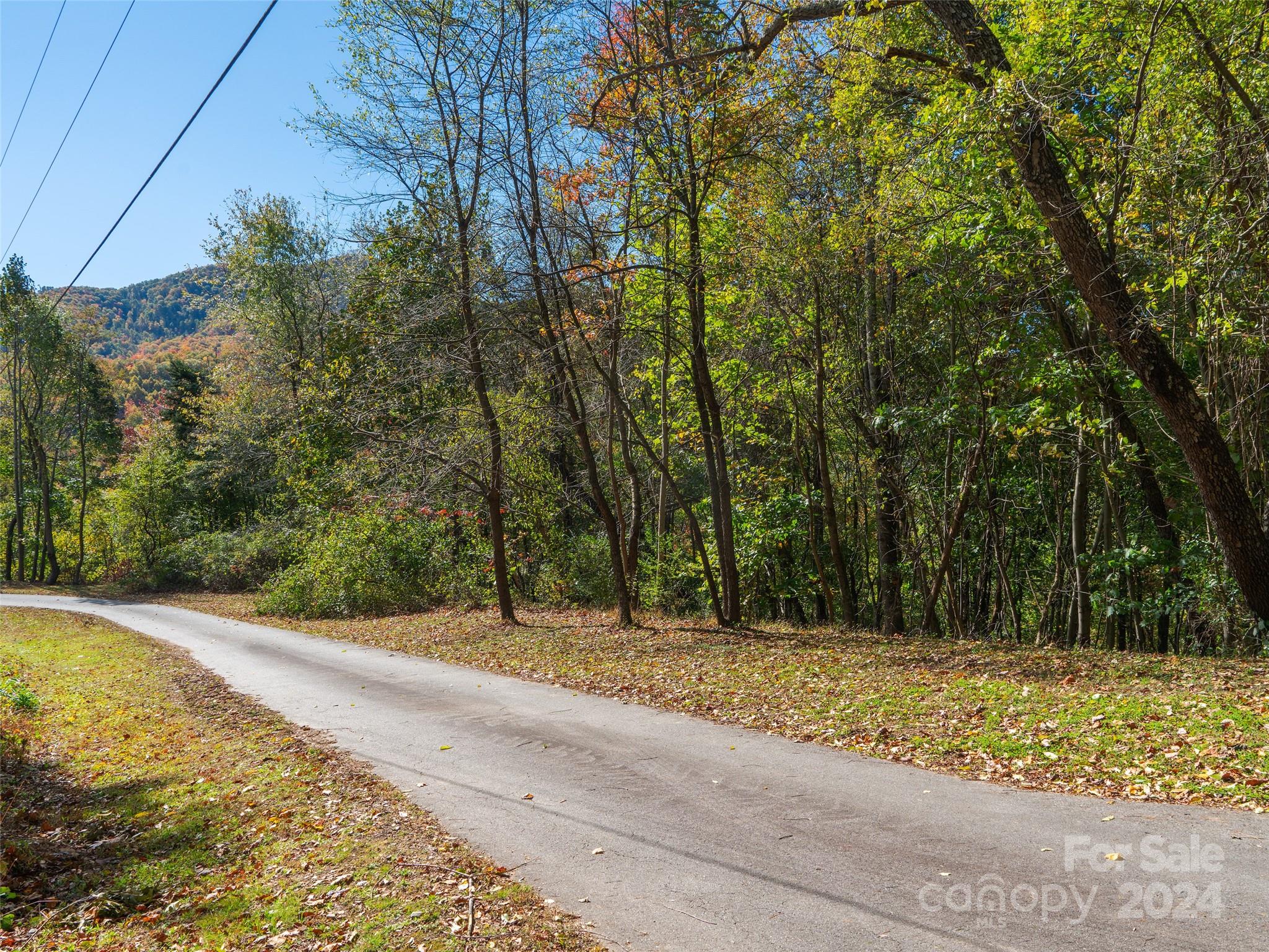 9999 Lovebird Lane Property Photo 3