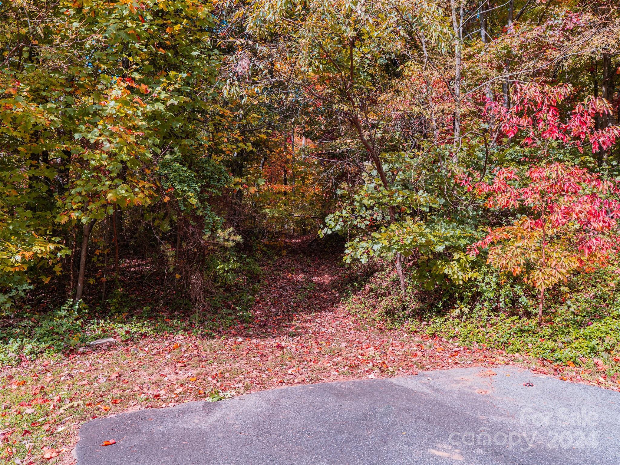 9999 Lovebird Lane Property Photo 15