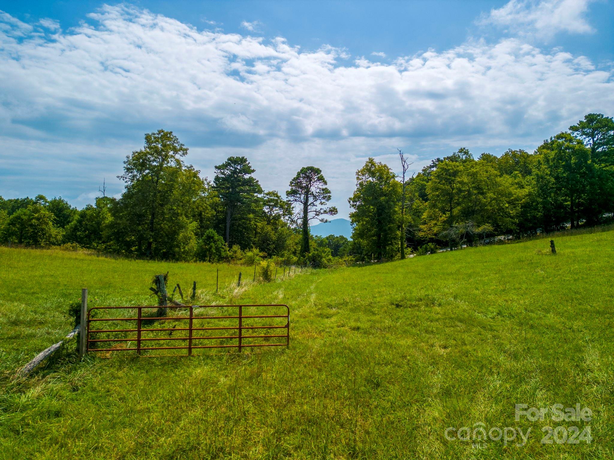 Tbd Summer Road Property Photo 6