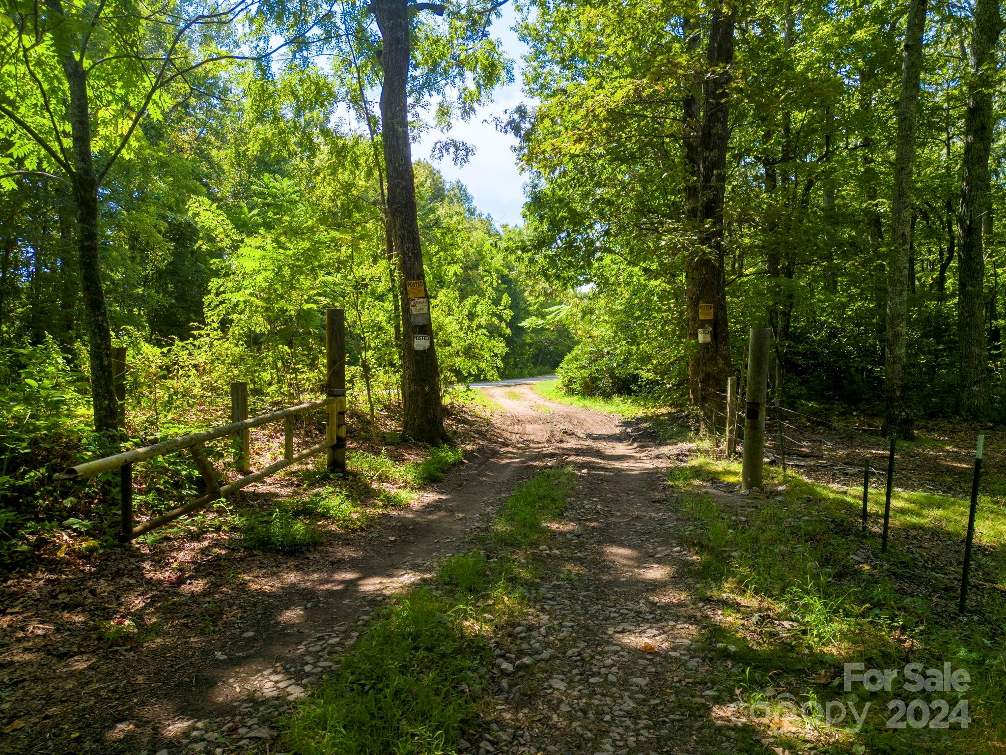 Tbd Summer Road Property Photo 27