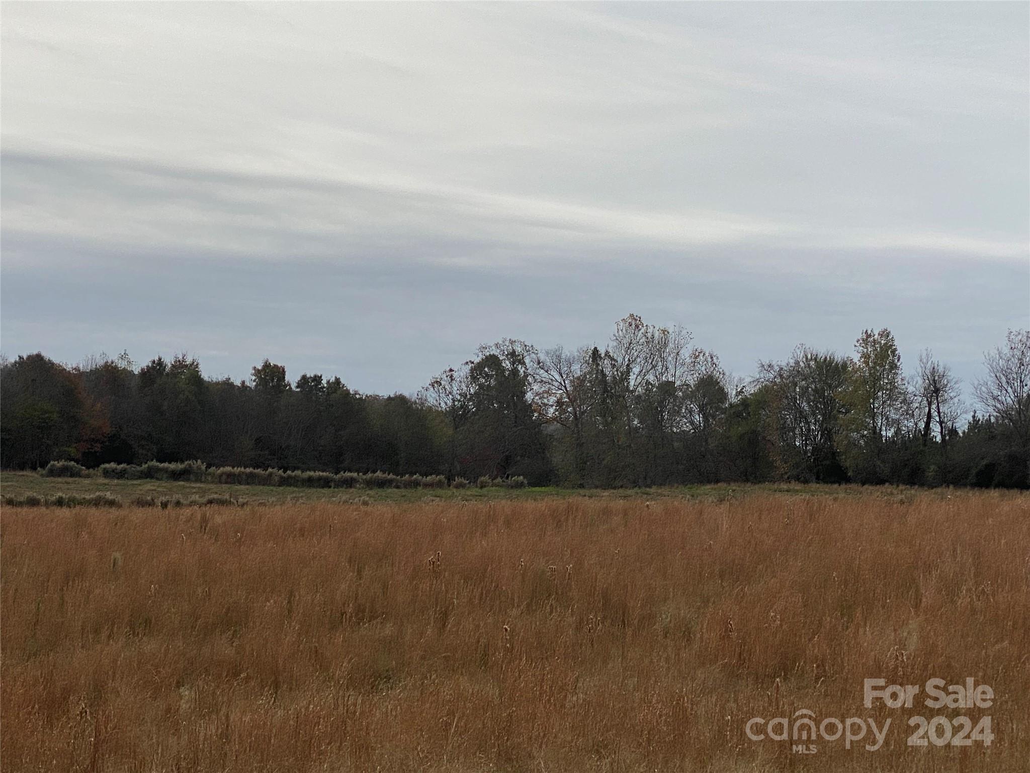 Vacant Biles Road 3 Property Photo 1