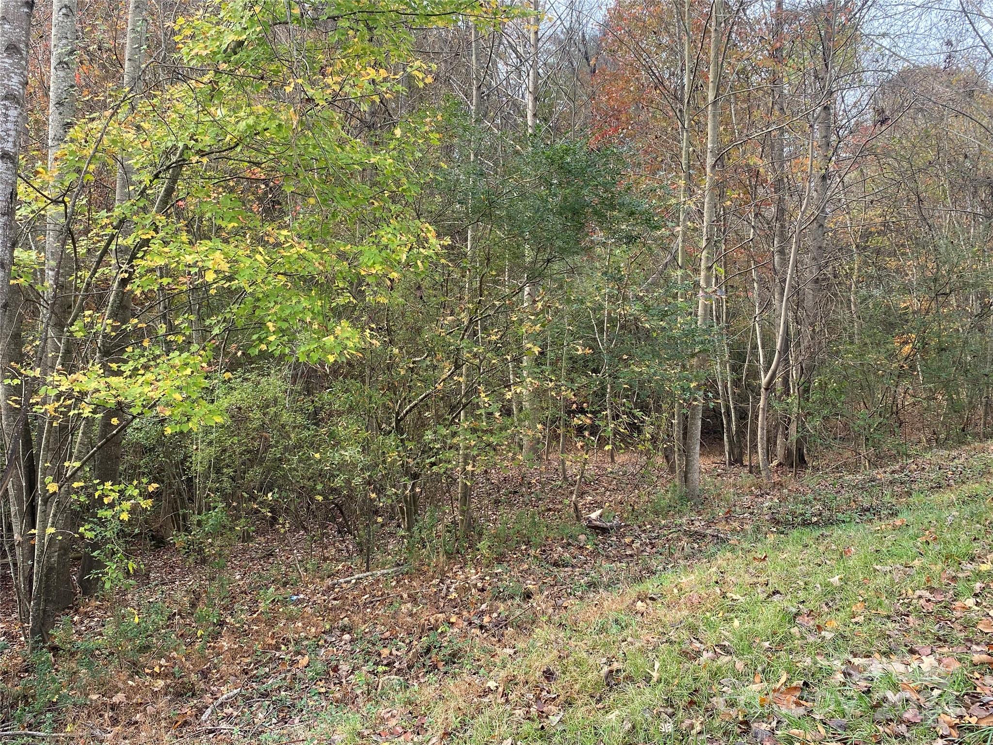 Vacant Biles Road 4 Property Photo