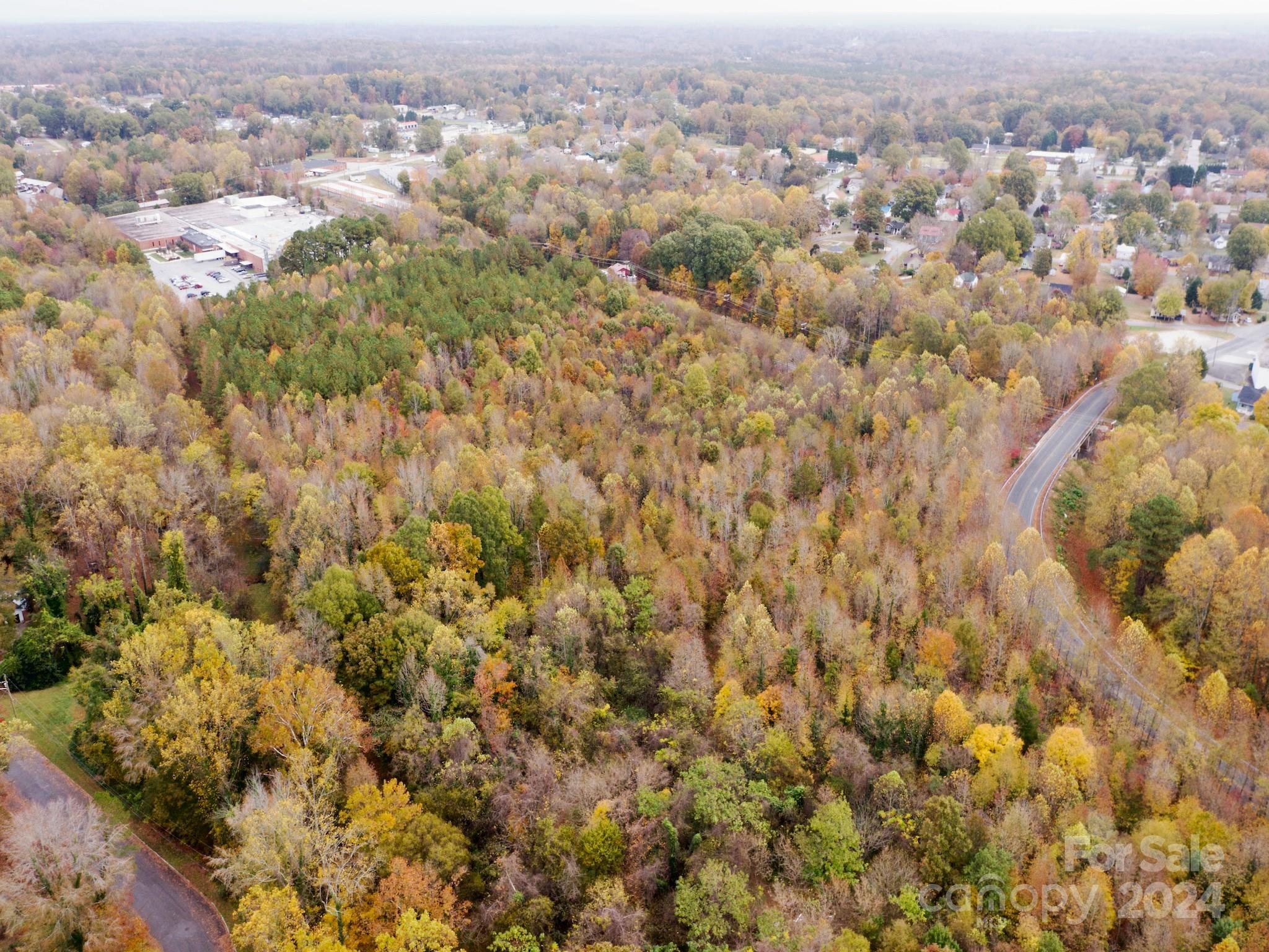 0 Swing Dairy Road Property Photo 2
