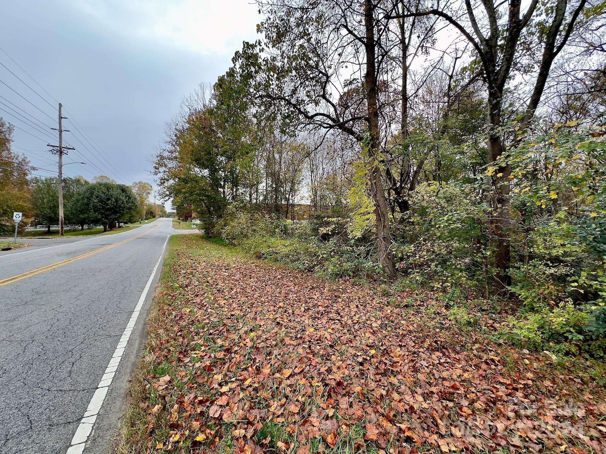 0 Swing Dairy Road Property Photo 4