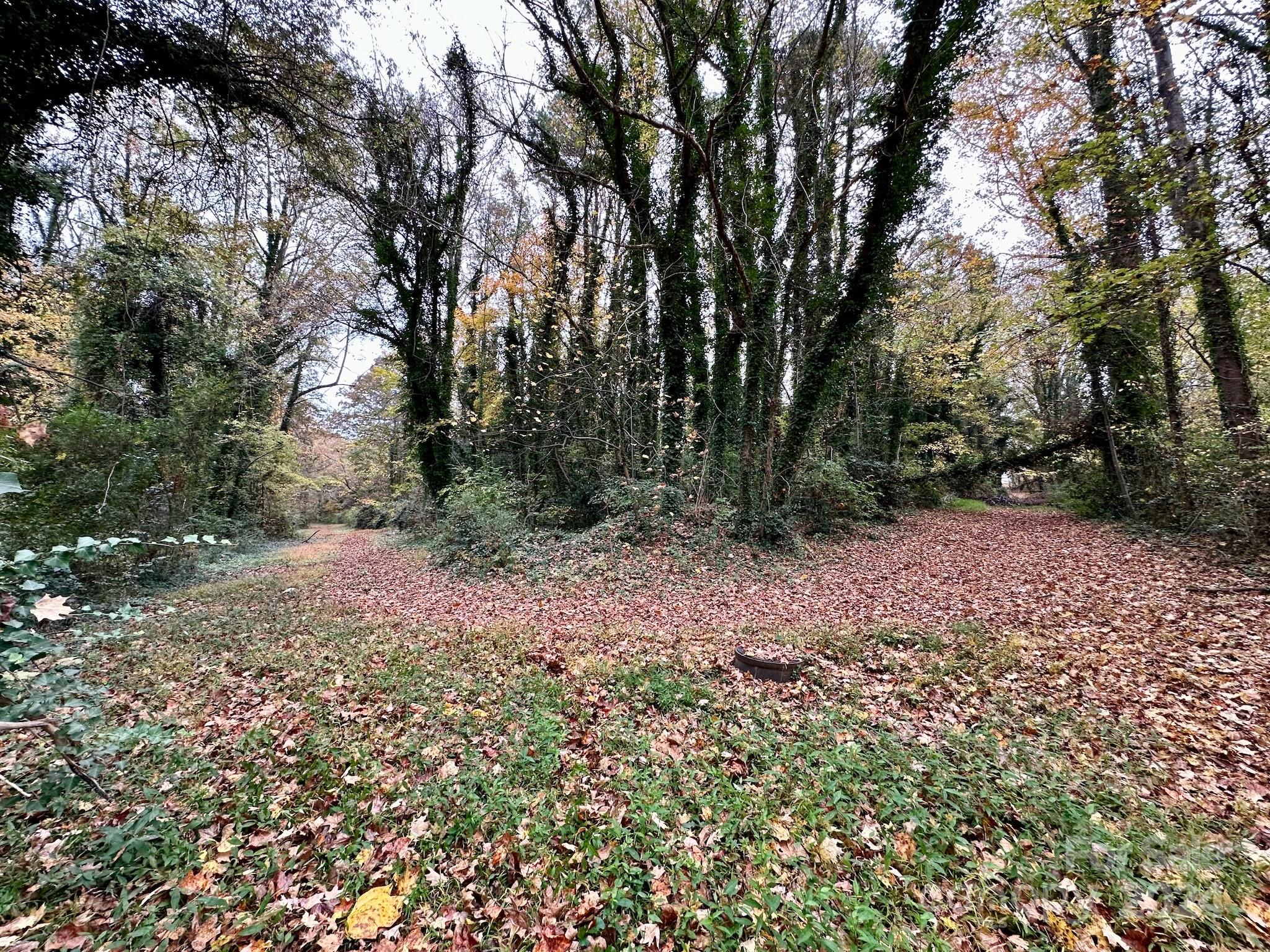0 Swing Dairy Road Property Photo 8