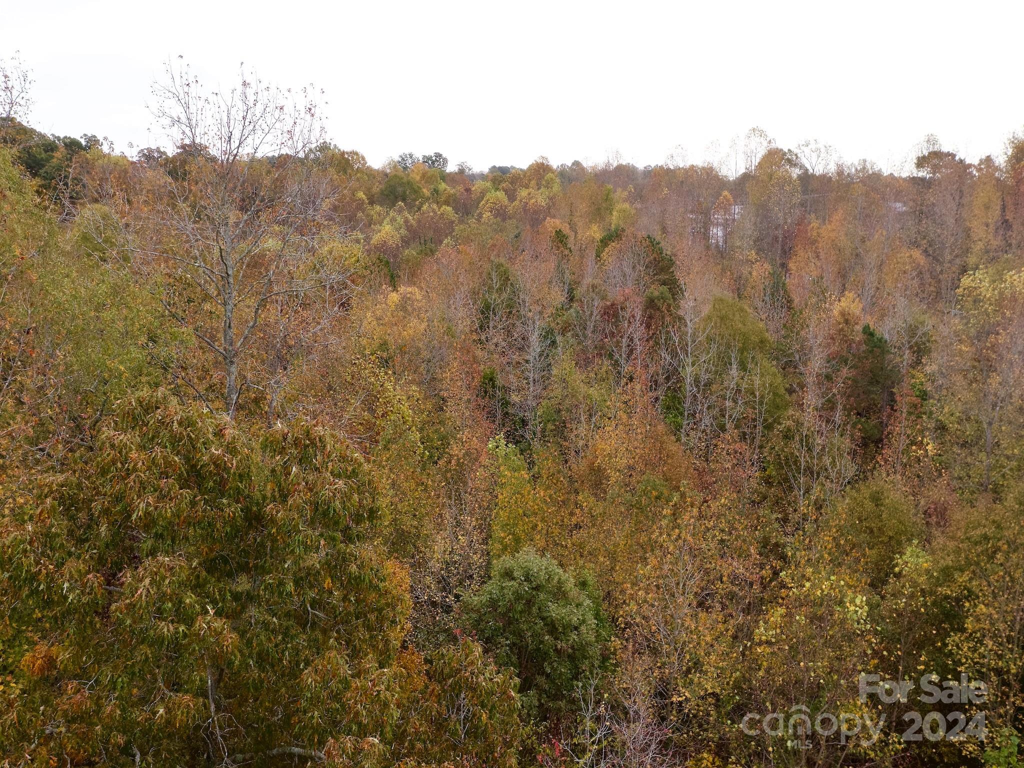 0 Swing Dairy Road Property Photo 10