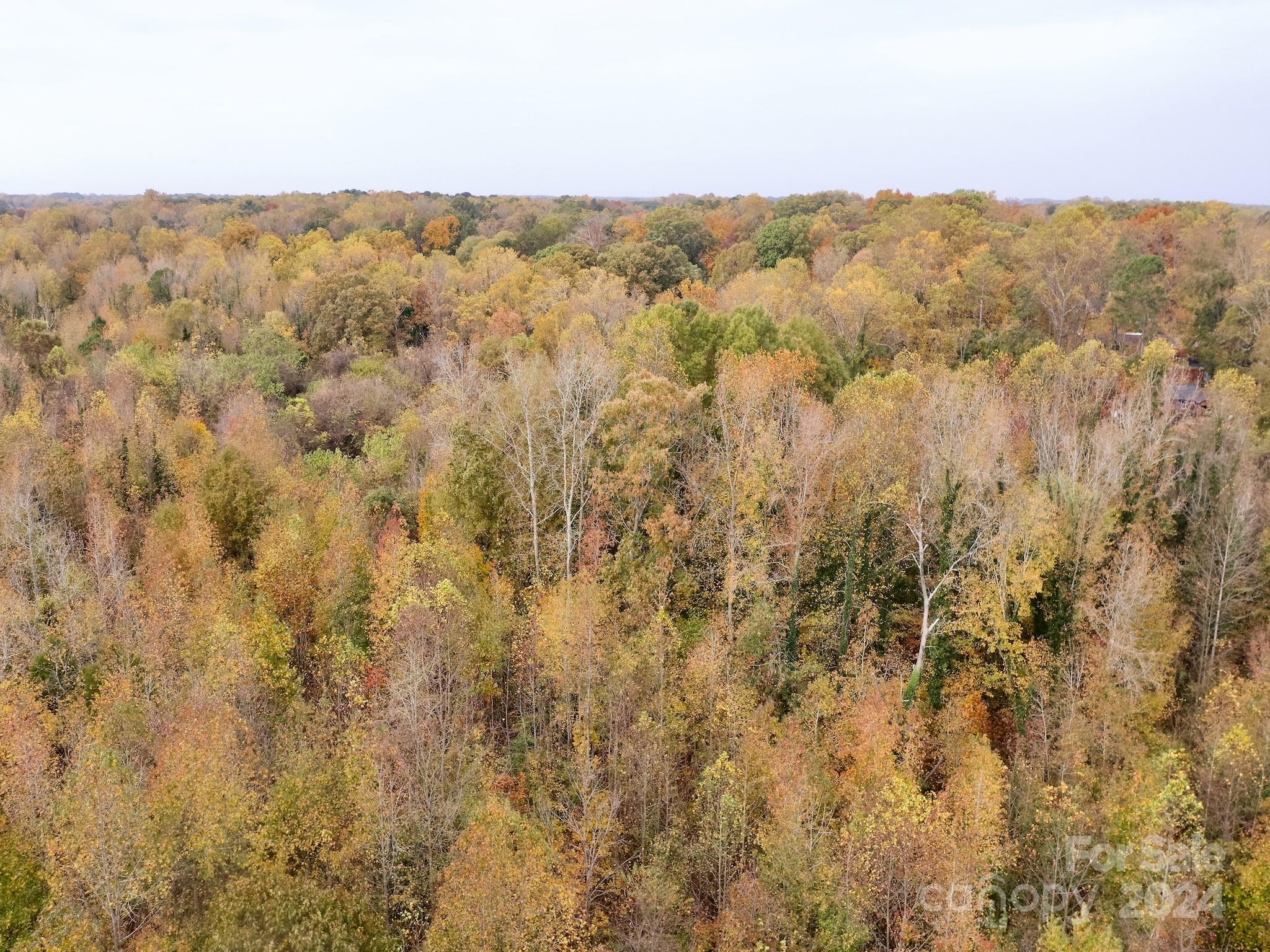 0 Swing Dairy Road Property Photo 11