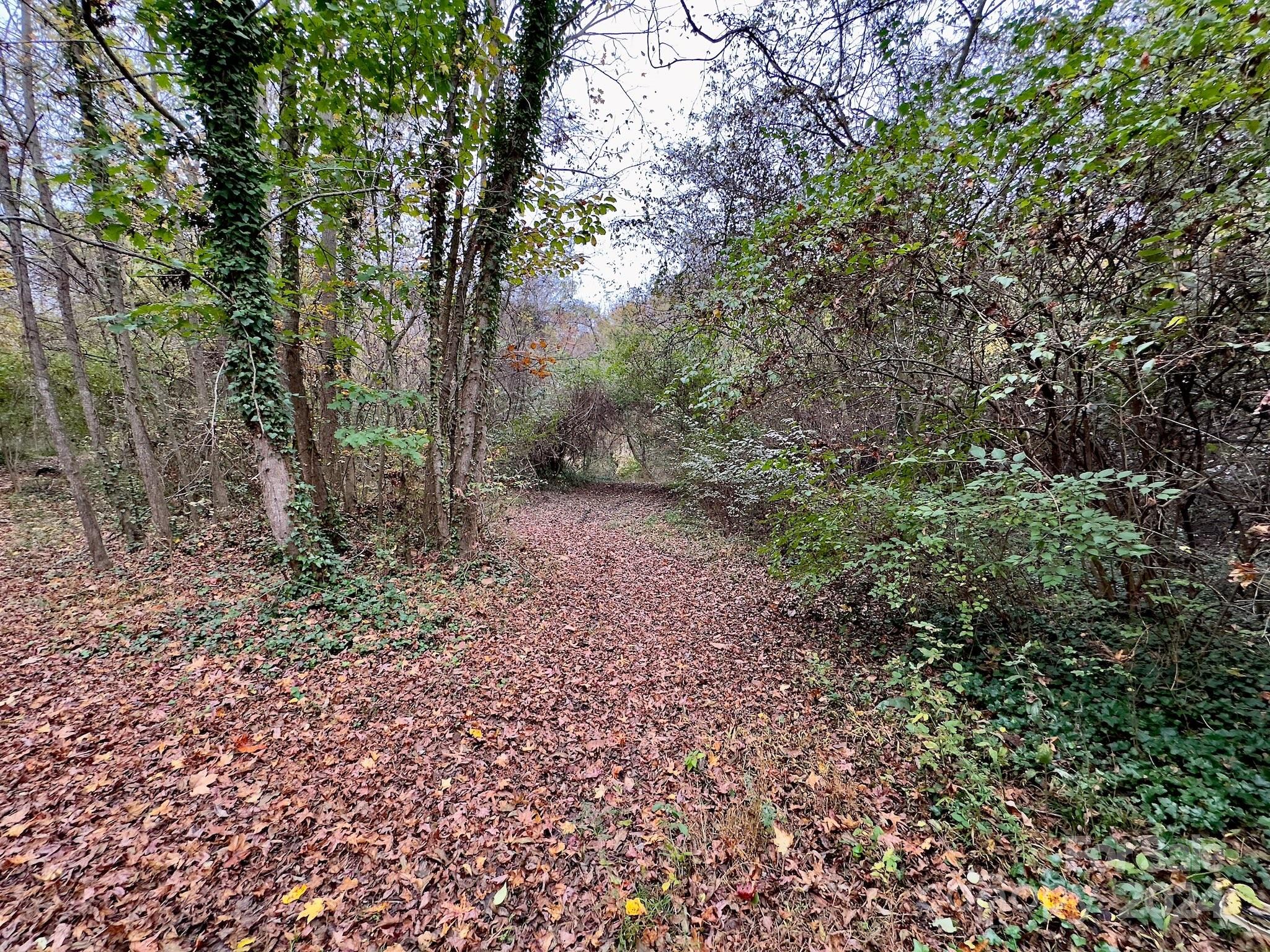0 Swing Dairy Road Property Photo 12