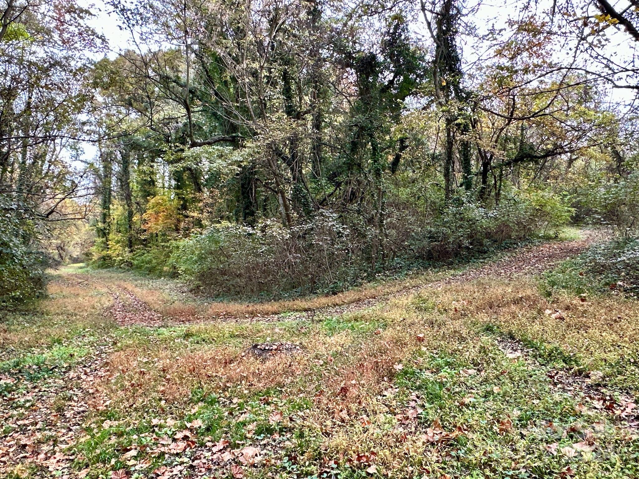 0 Swing Dairy Road Property Photo 13