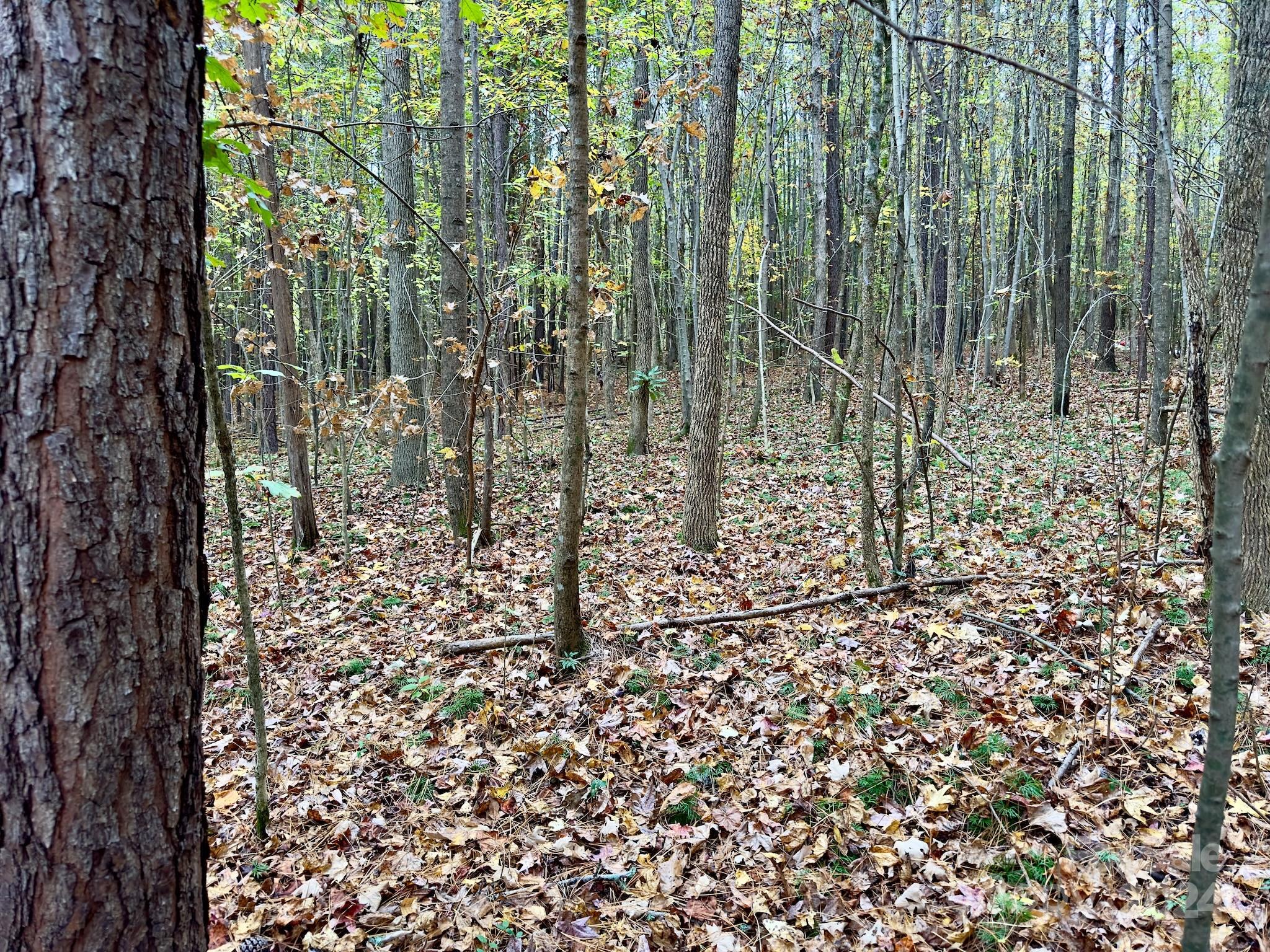 0 Swing Dairy Road Property Photo 15