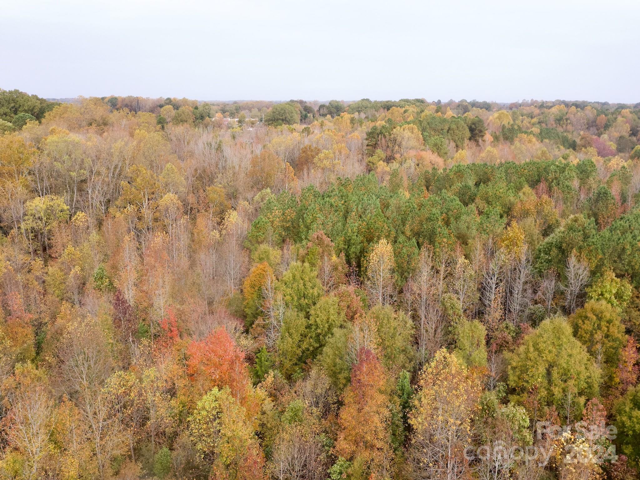 0 Swing Dairy Road Property Photo 18
