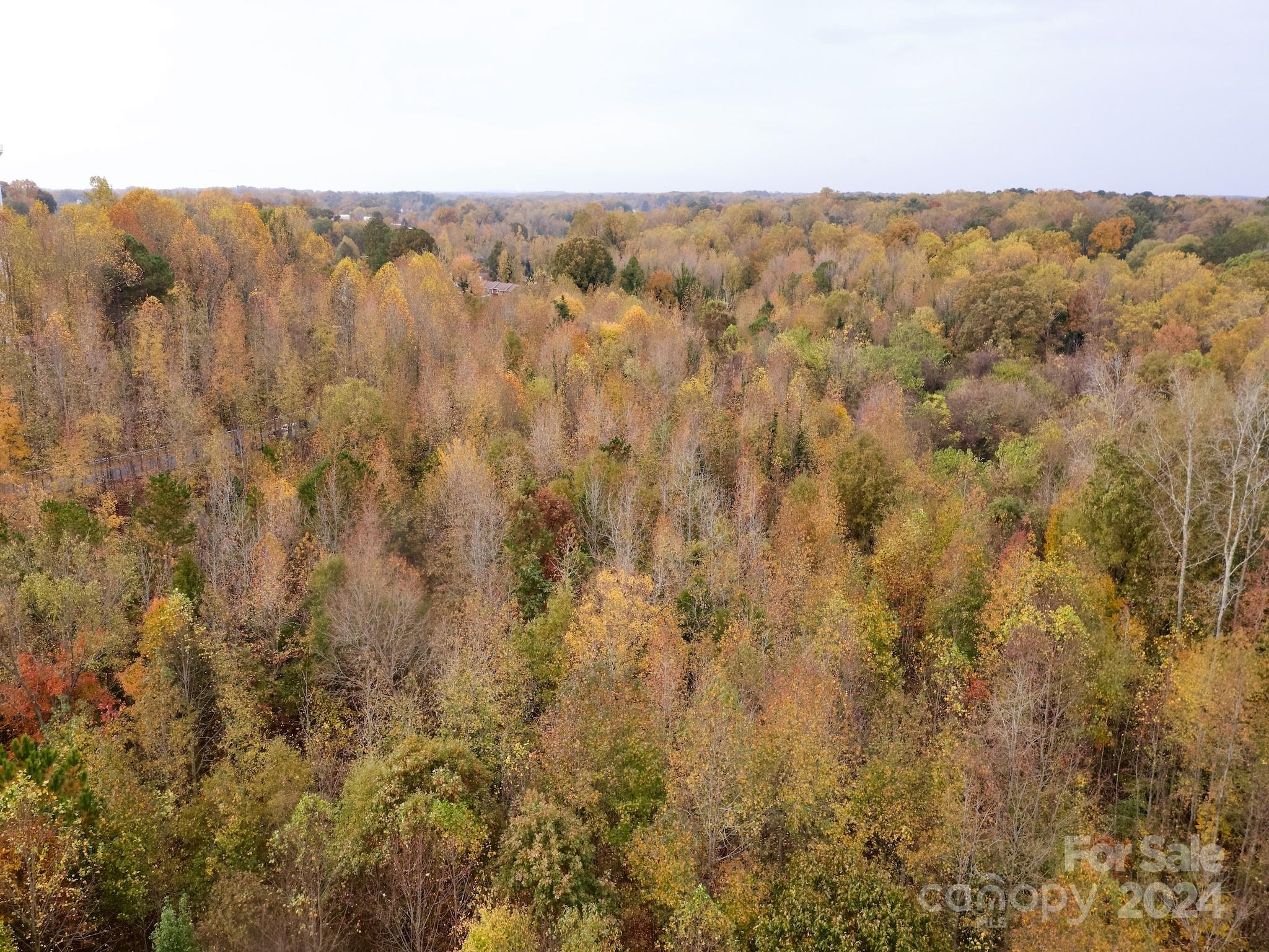 0 Swing Dairy Road Property Photo 19
