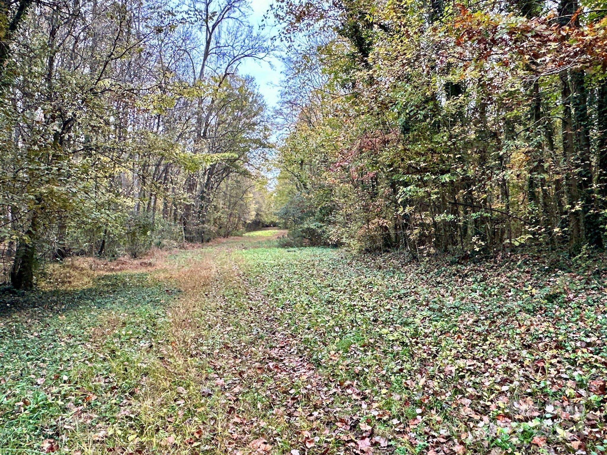 0 Swing Dairy Road Property Photo 20