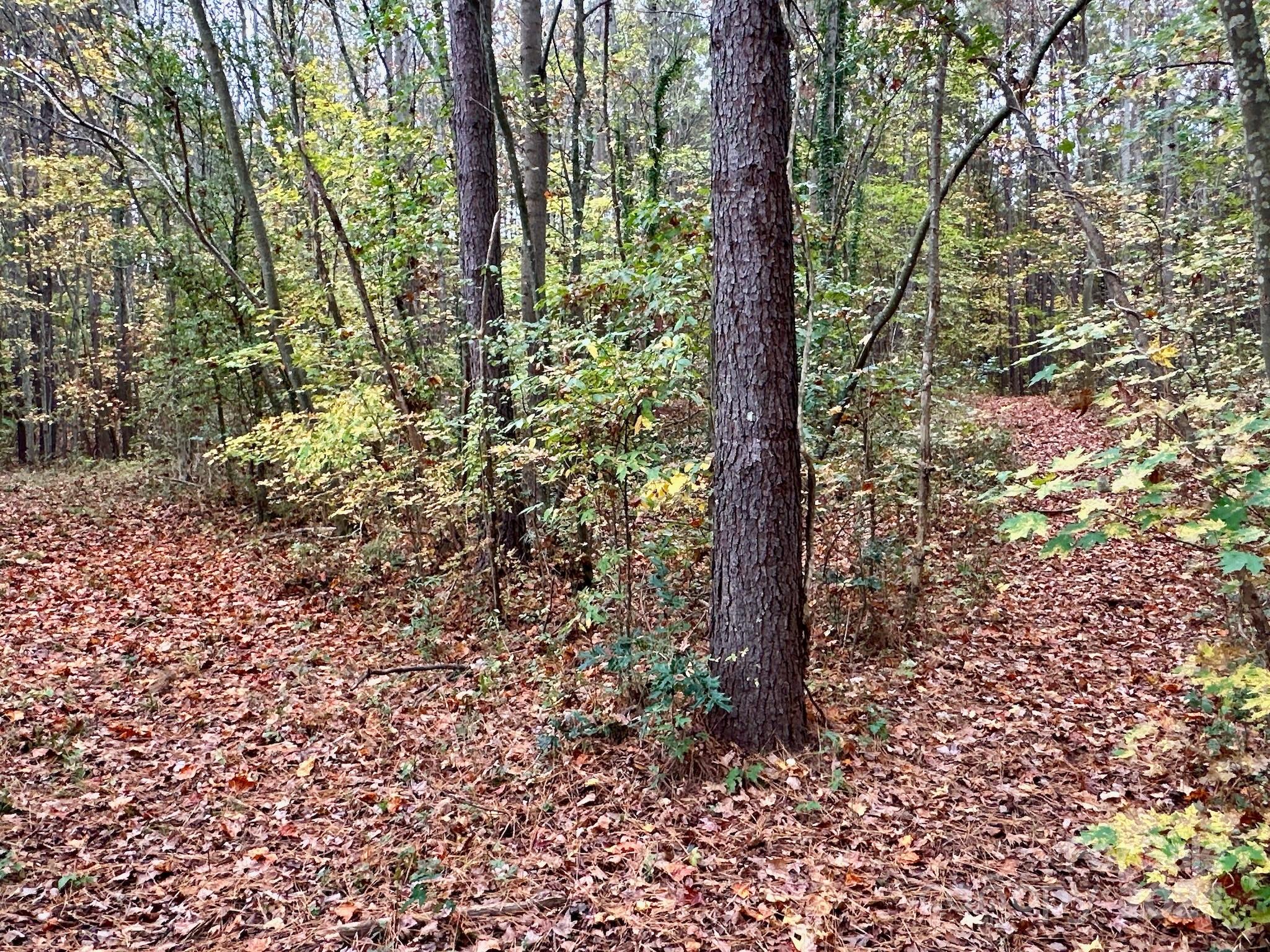 0 Swing Dairy Road Property Photo 24
