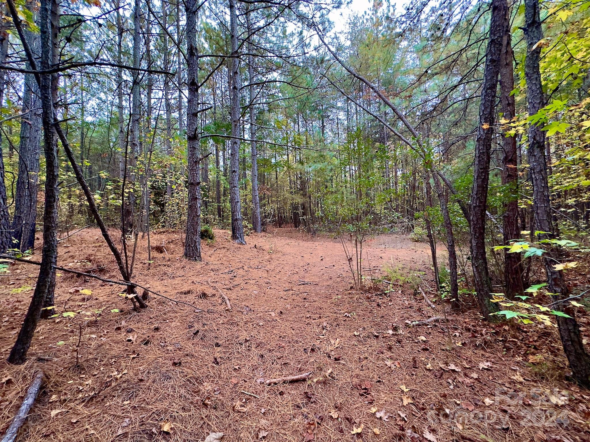 0 Swing Dairy Road Property Photo 25