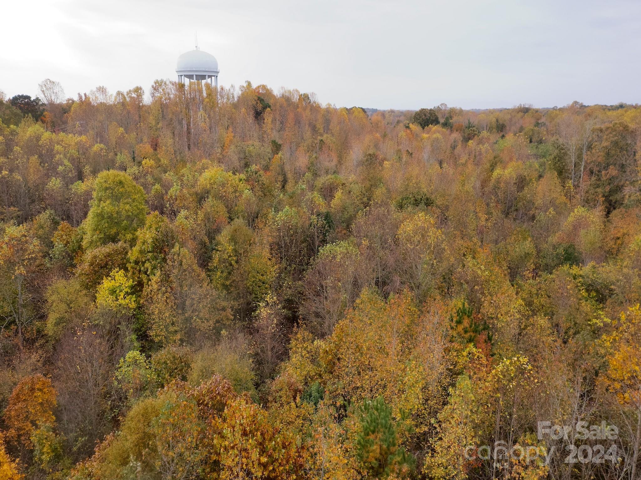 0 Swing Dairy Road Property Photo 28