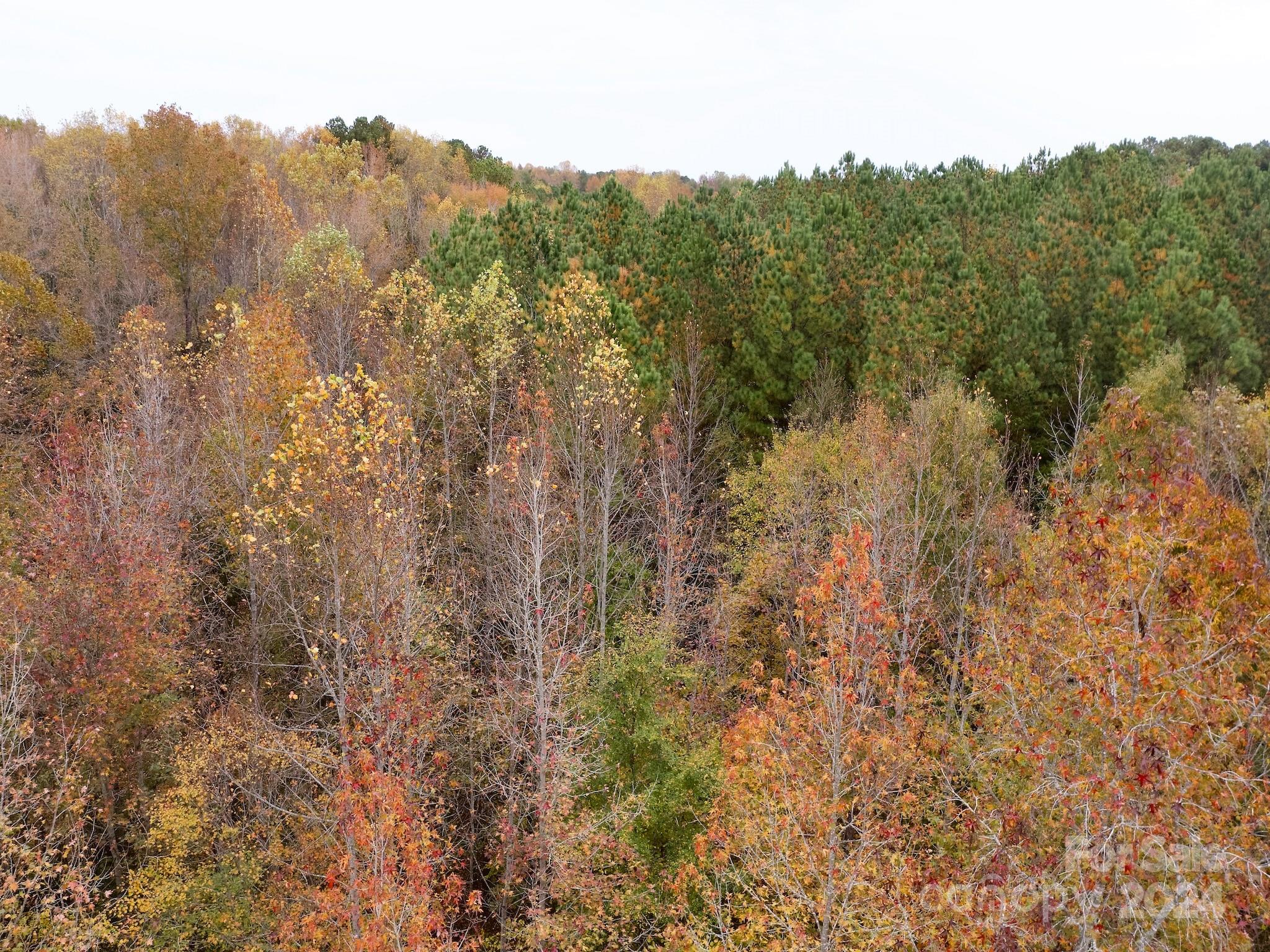 0 Swing Dairy Road Property Photo 29