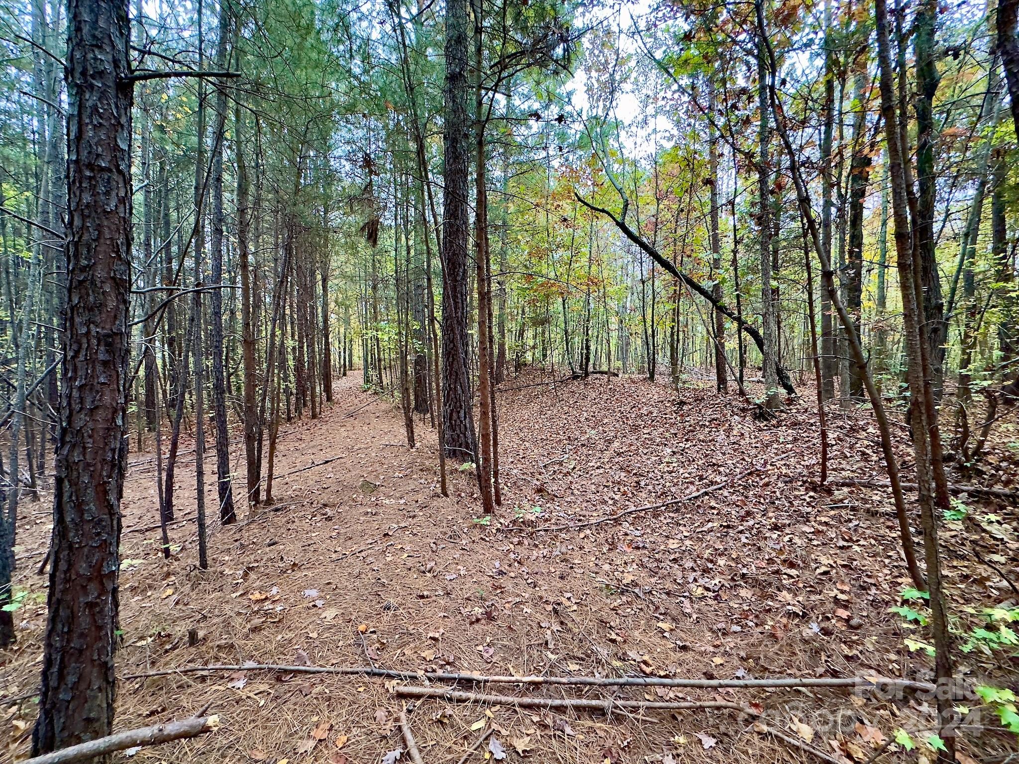 0 Swing Dairy Road Property Photo 34
