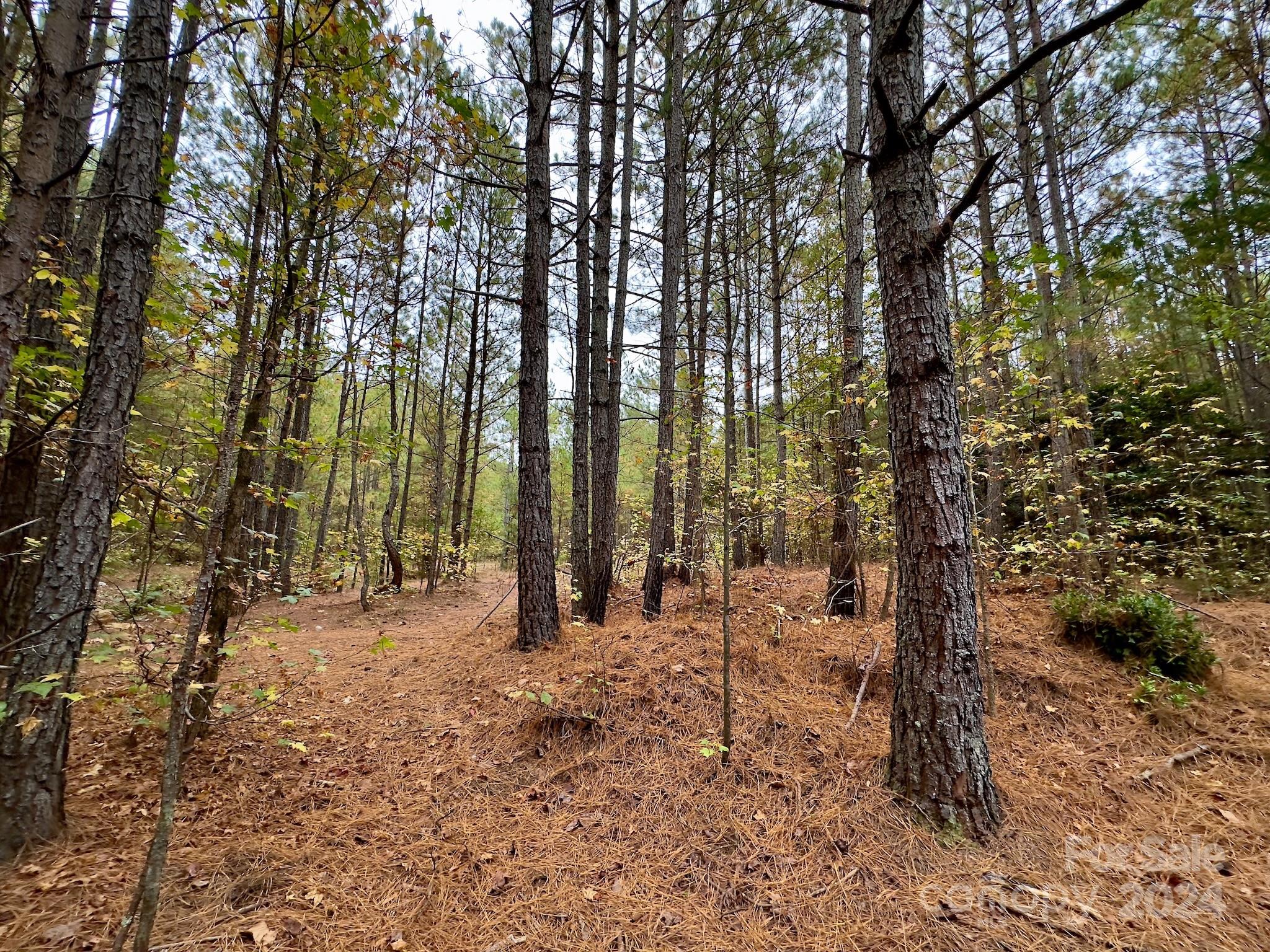 0 Swing Dairy Road Property Photo 35
