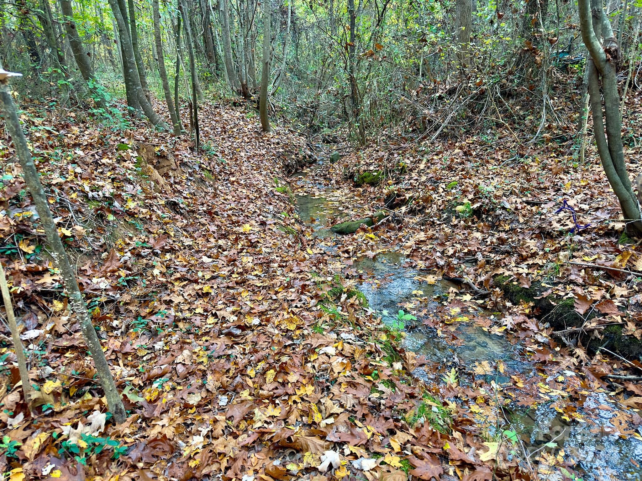 0 Swing Dairy Road Property Photo 36